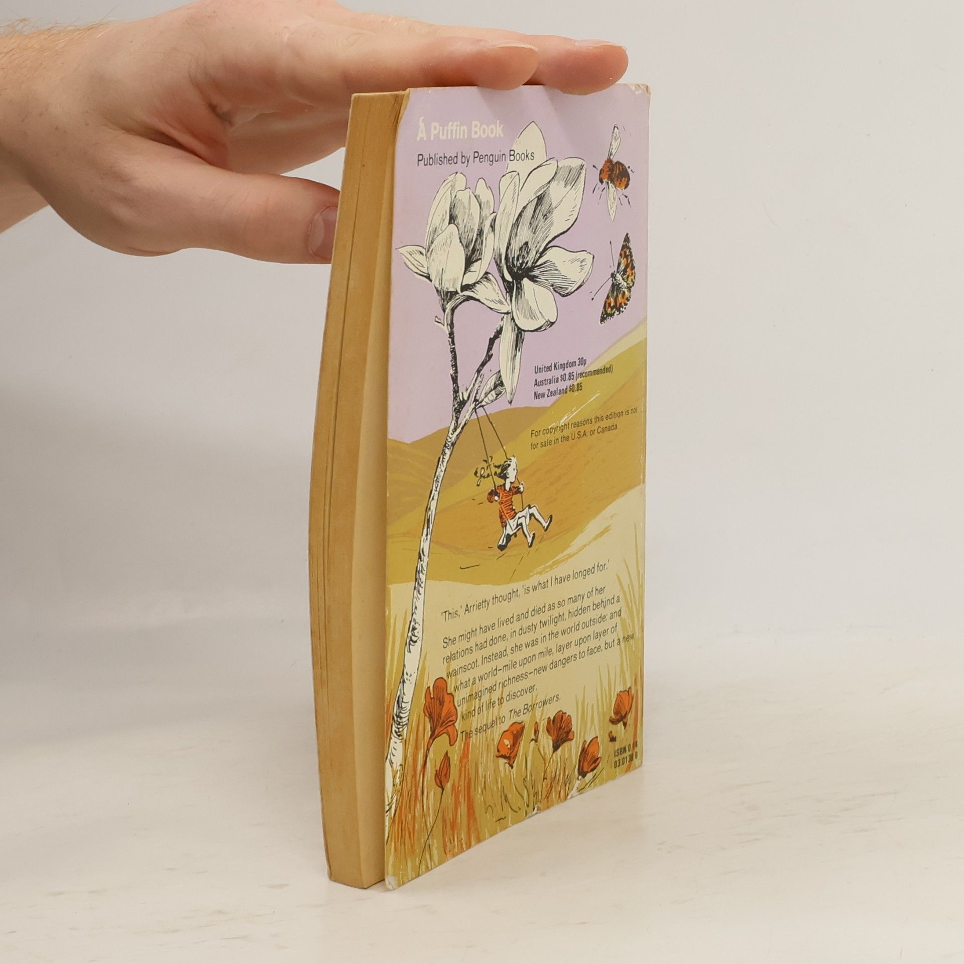 Mary Norton Puffin Books: The Borrowers Afield