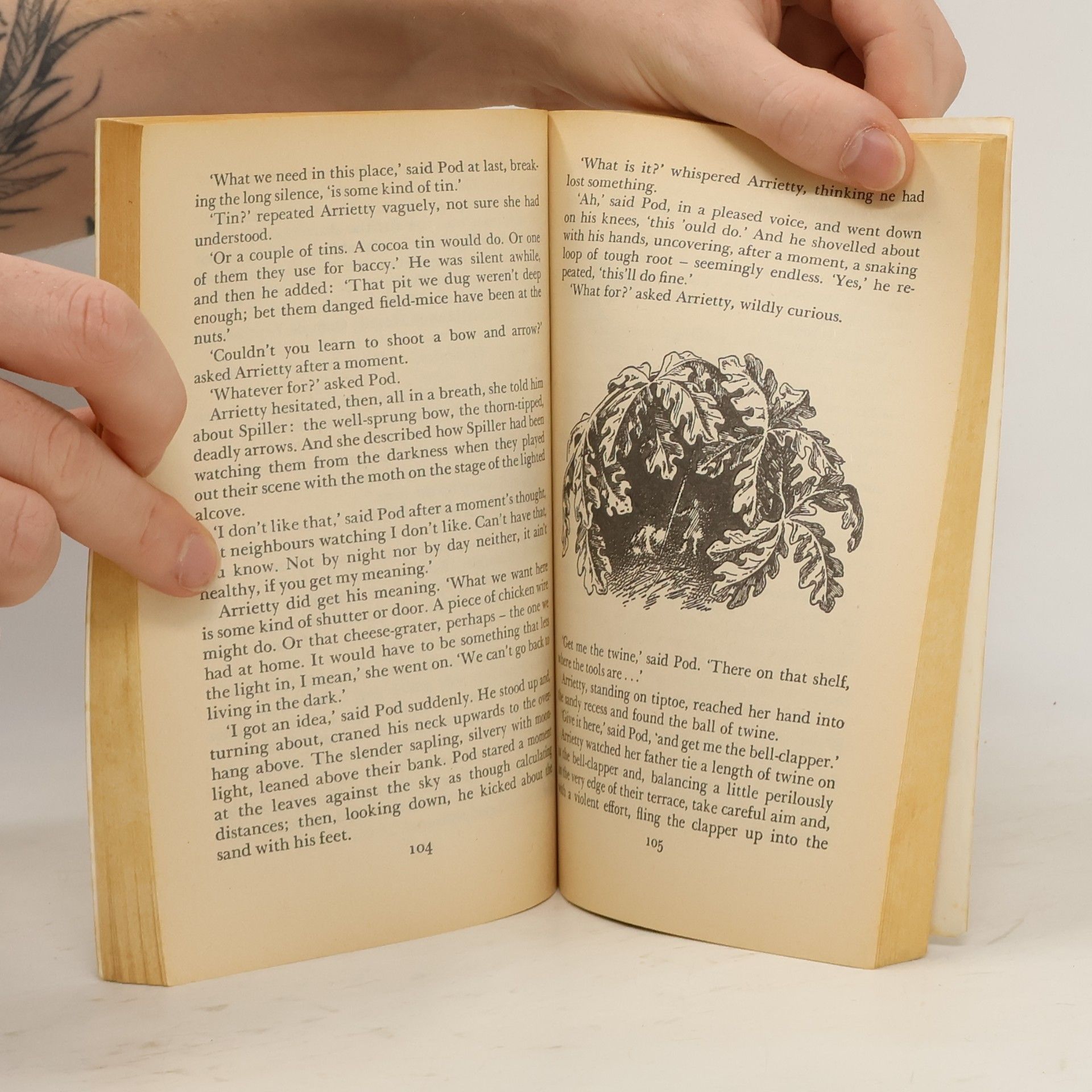 Mary Norton Puffin Books: The Borrowers Afield