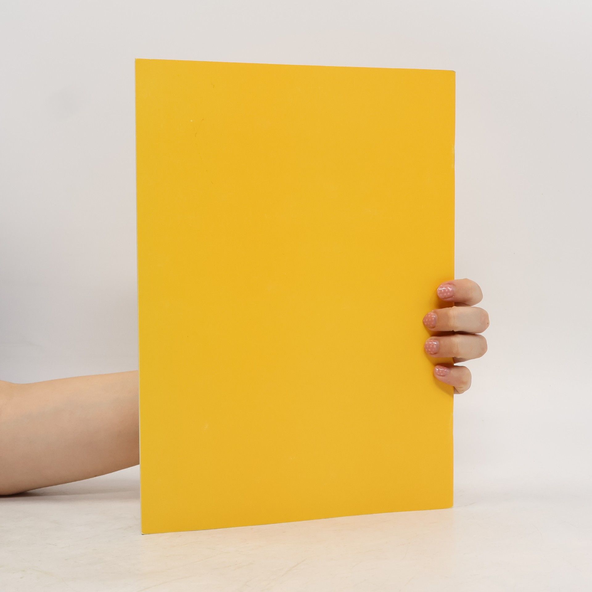 Autorenkollektiv BAM. Forschungsbericht 84