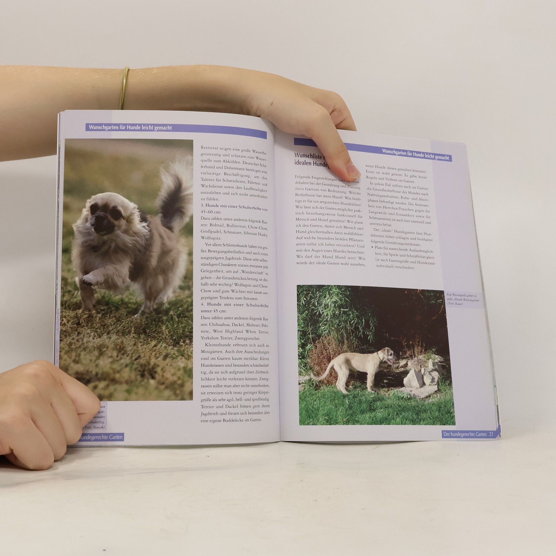 Angela Nowak Der hundegerechte Garten
