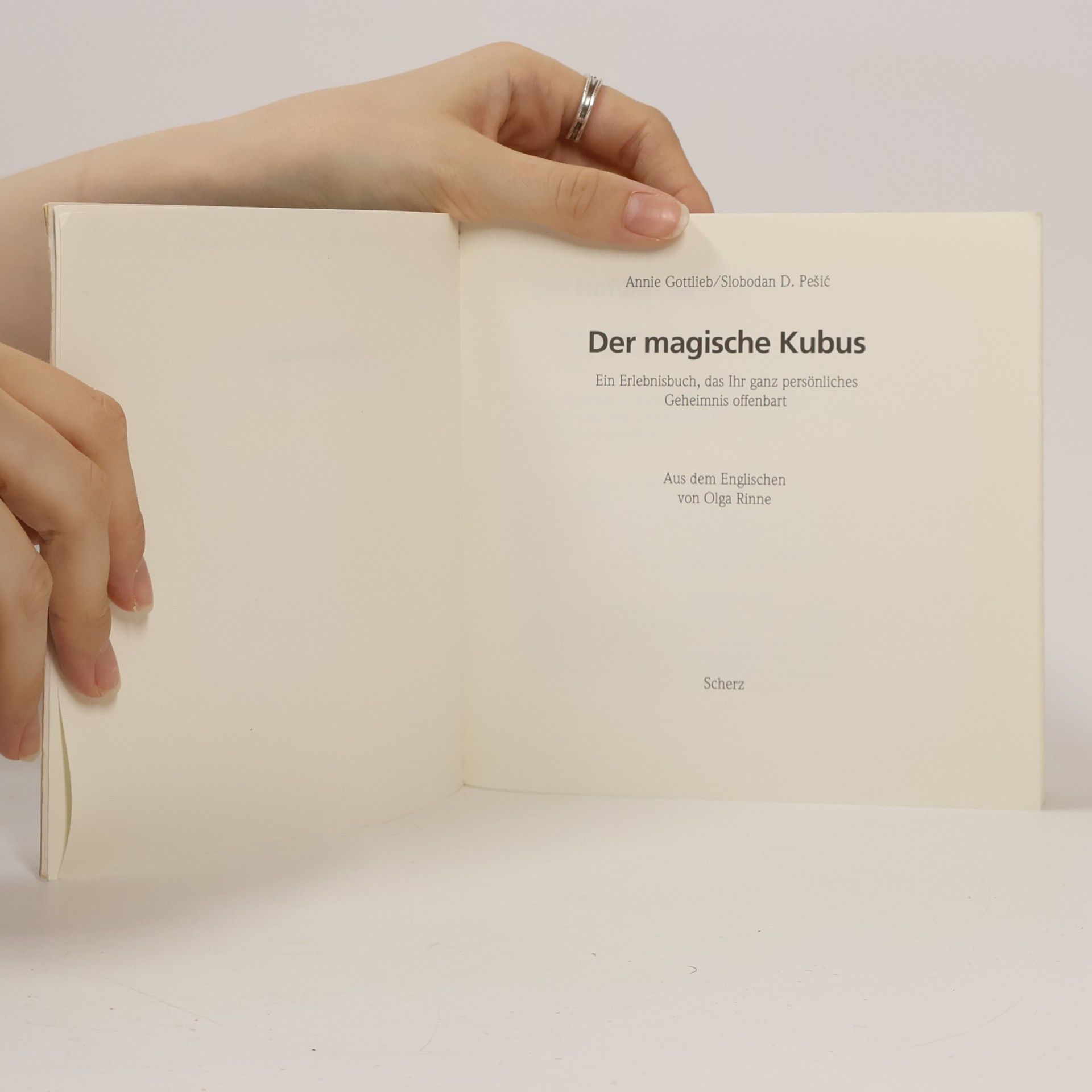 Annie Gottlieb Der magische Kubus