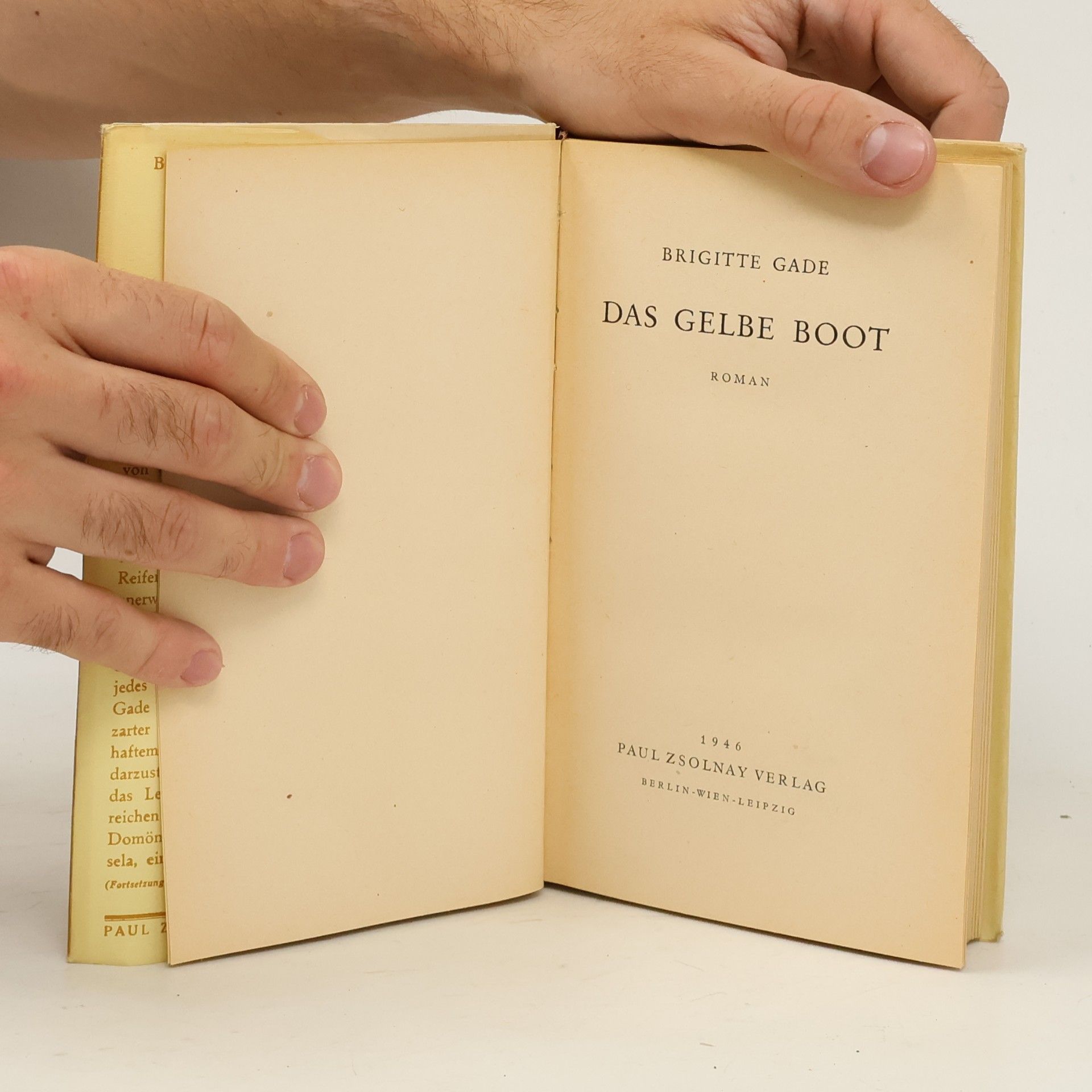 Brigitte Gade Das gelbe boot