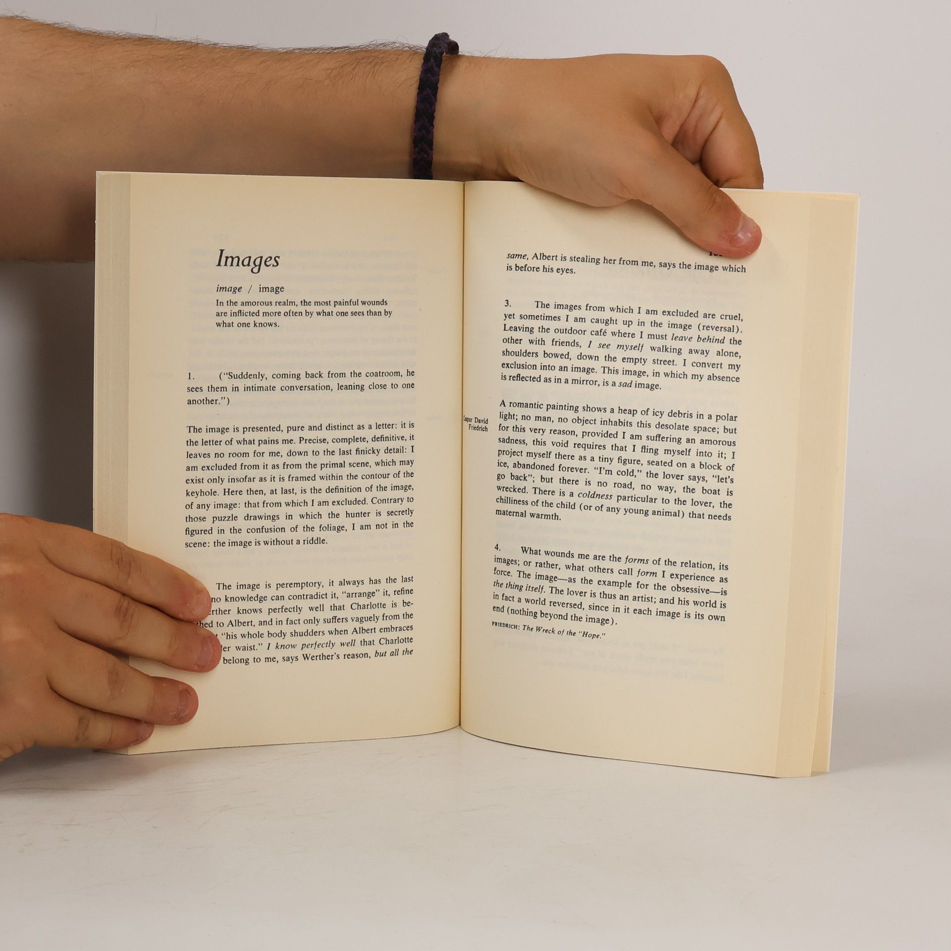 Roland Barthes A Lover's Discourse