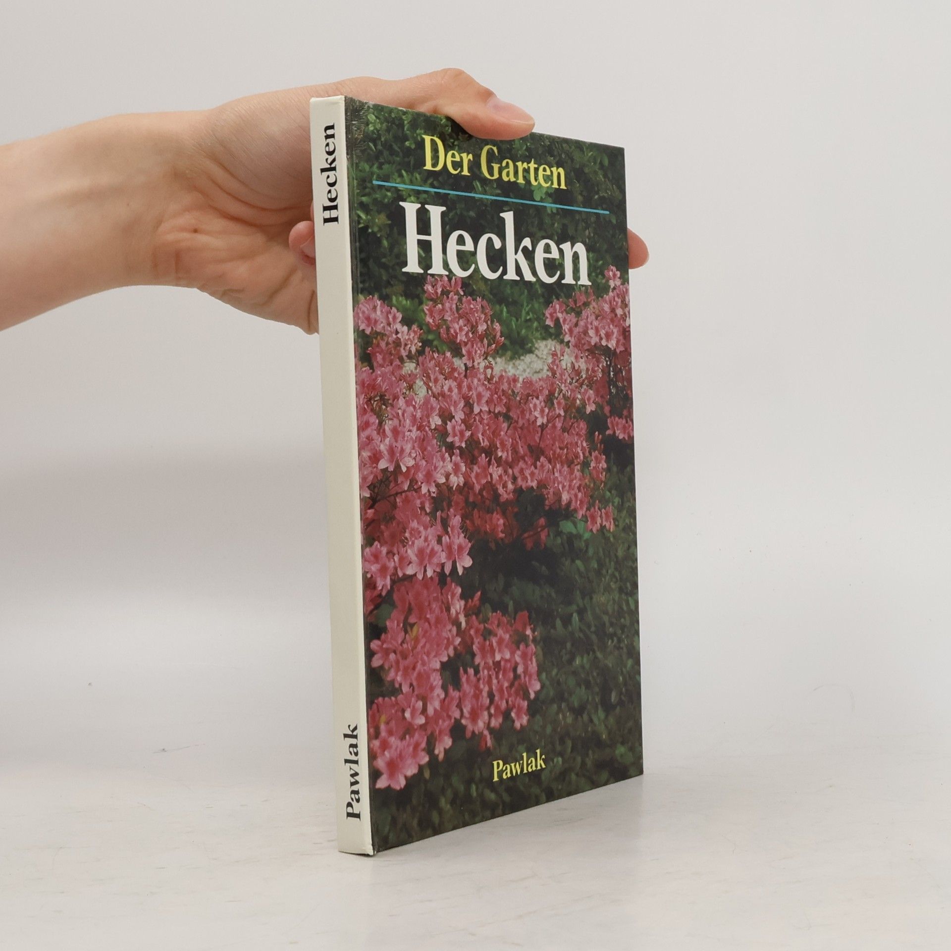 Ute York Hecken