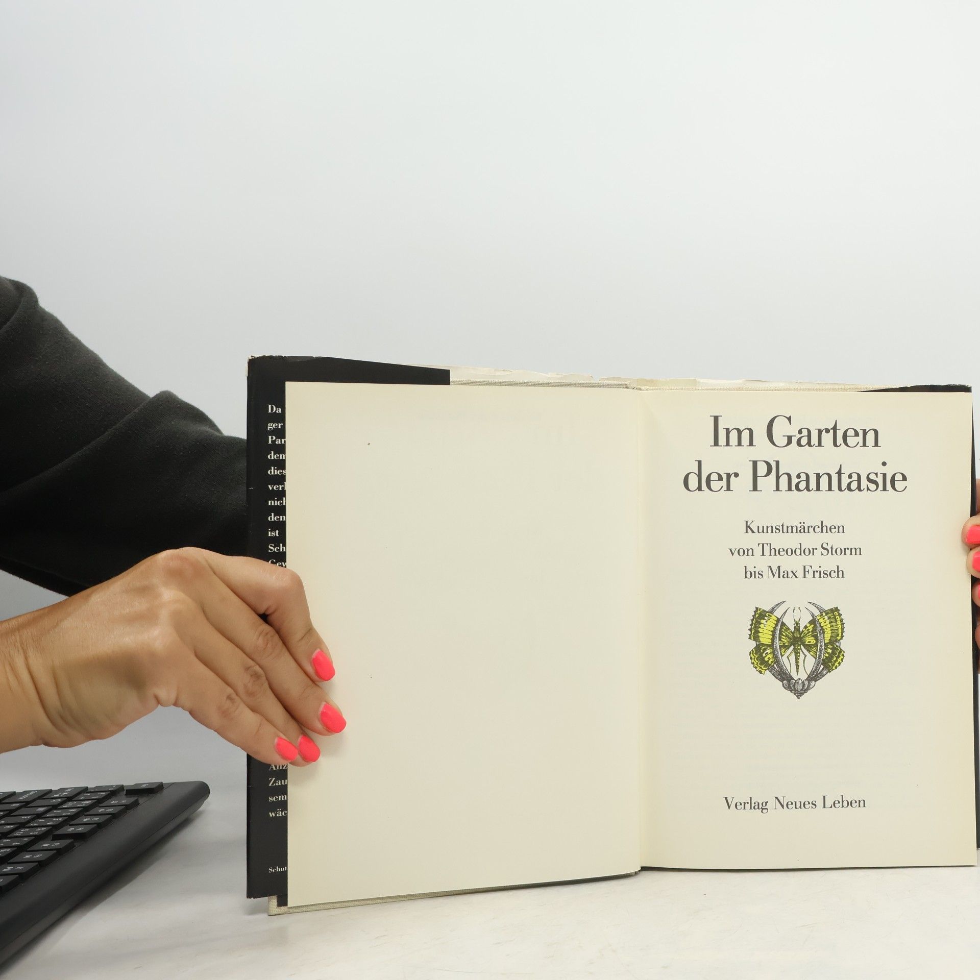 Helmut Fensch Im Garten der Phantasie. Kunstmärchen von Theodor Storm bis Max Frisch