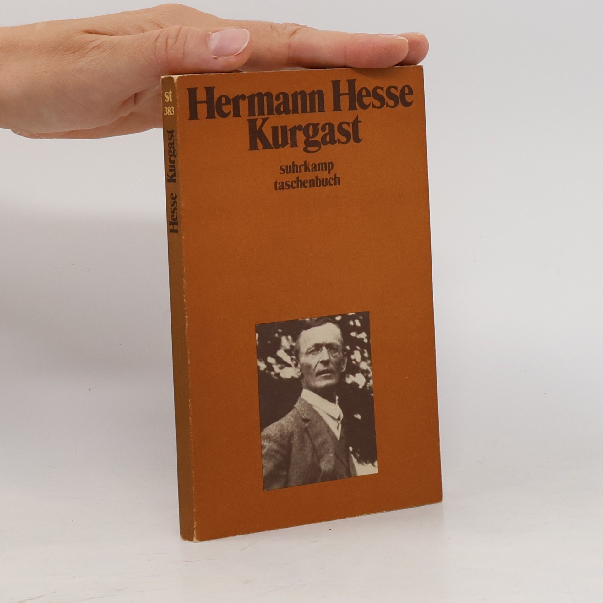 Hermann Hesse Kurgast