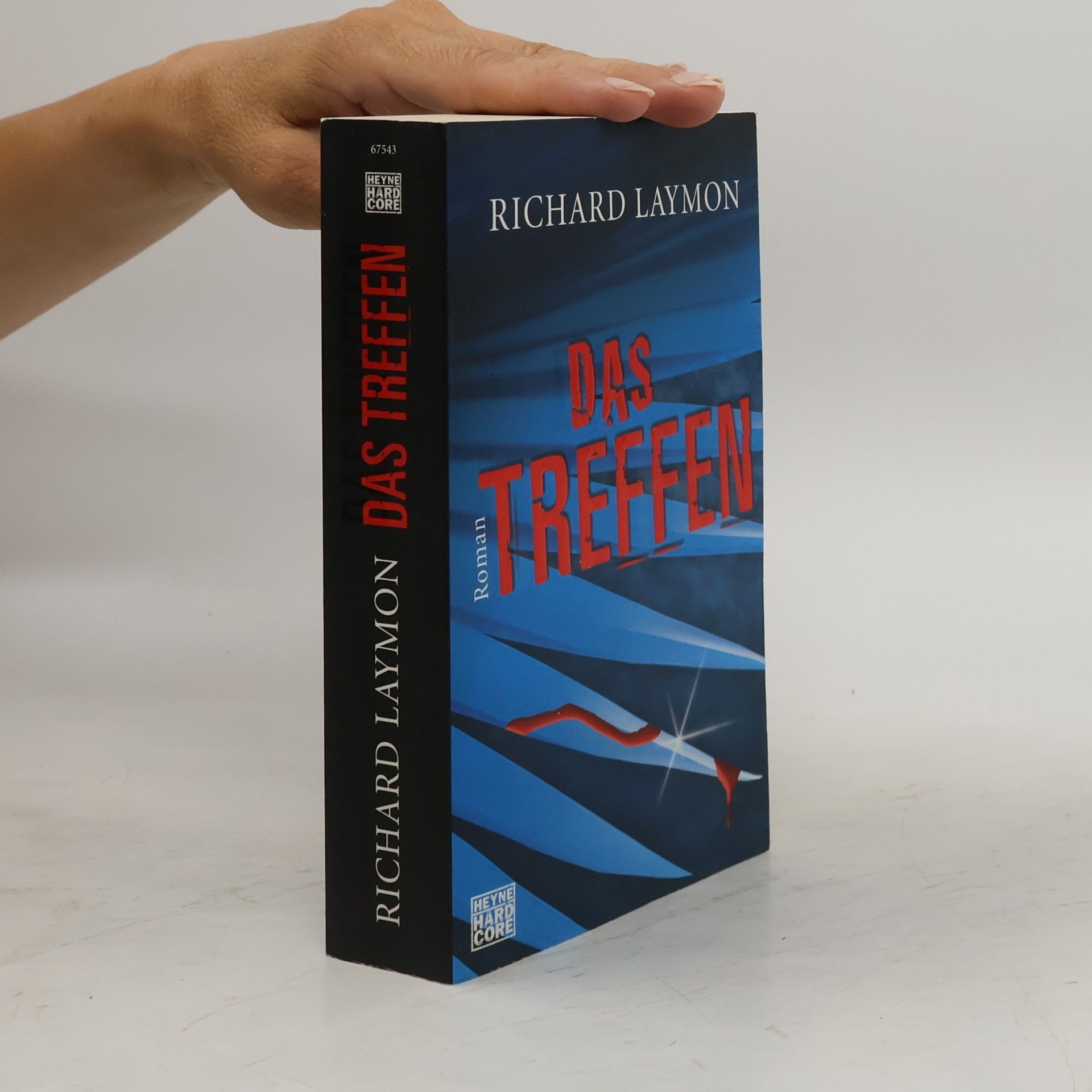 Richard Laymon Das Treffen