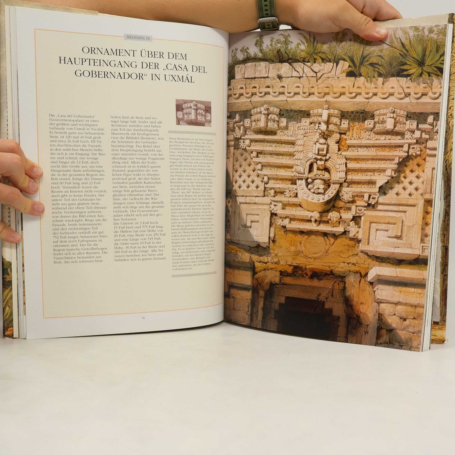 Fabio Bourbon Die Mayas