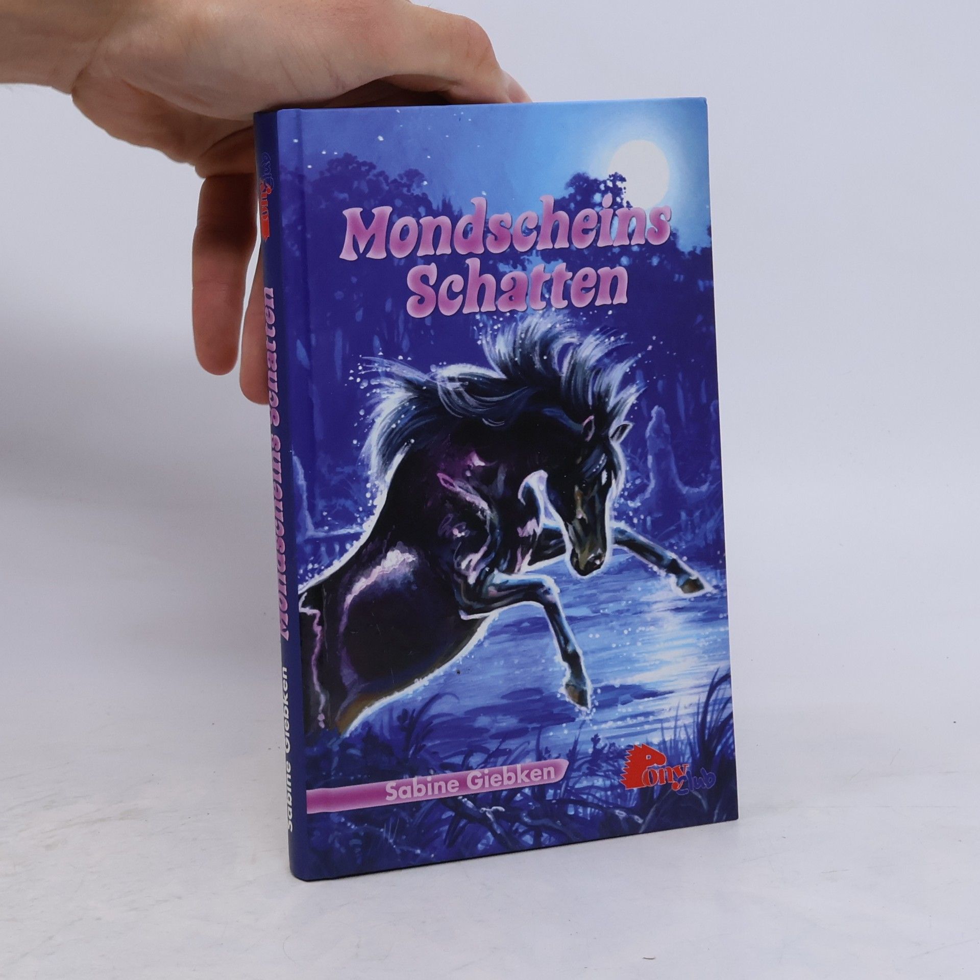 Mondscheins Schatten