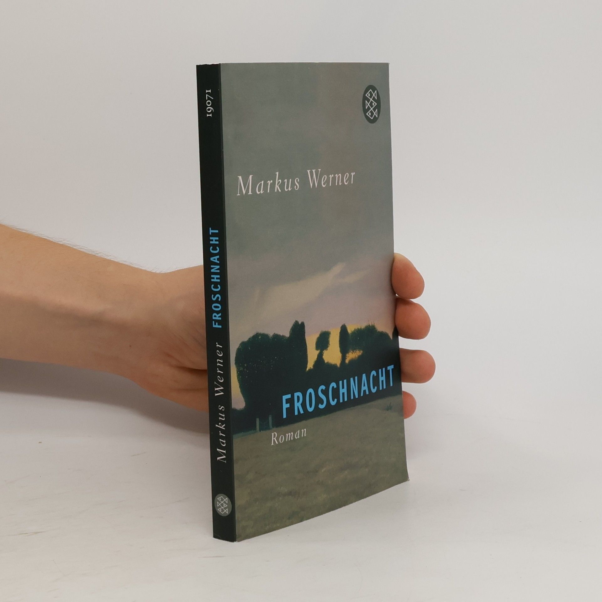 Markus Werner Froschnacht