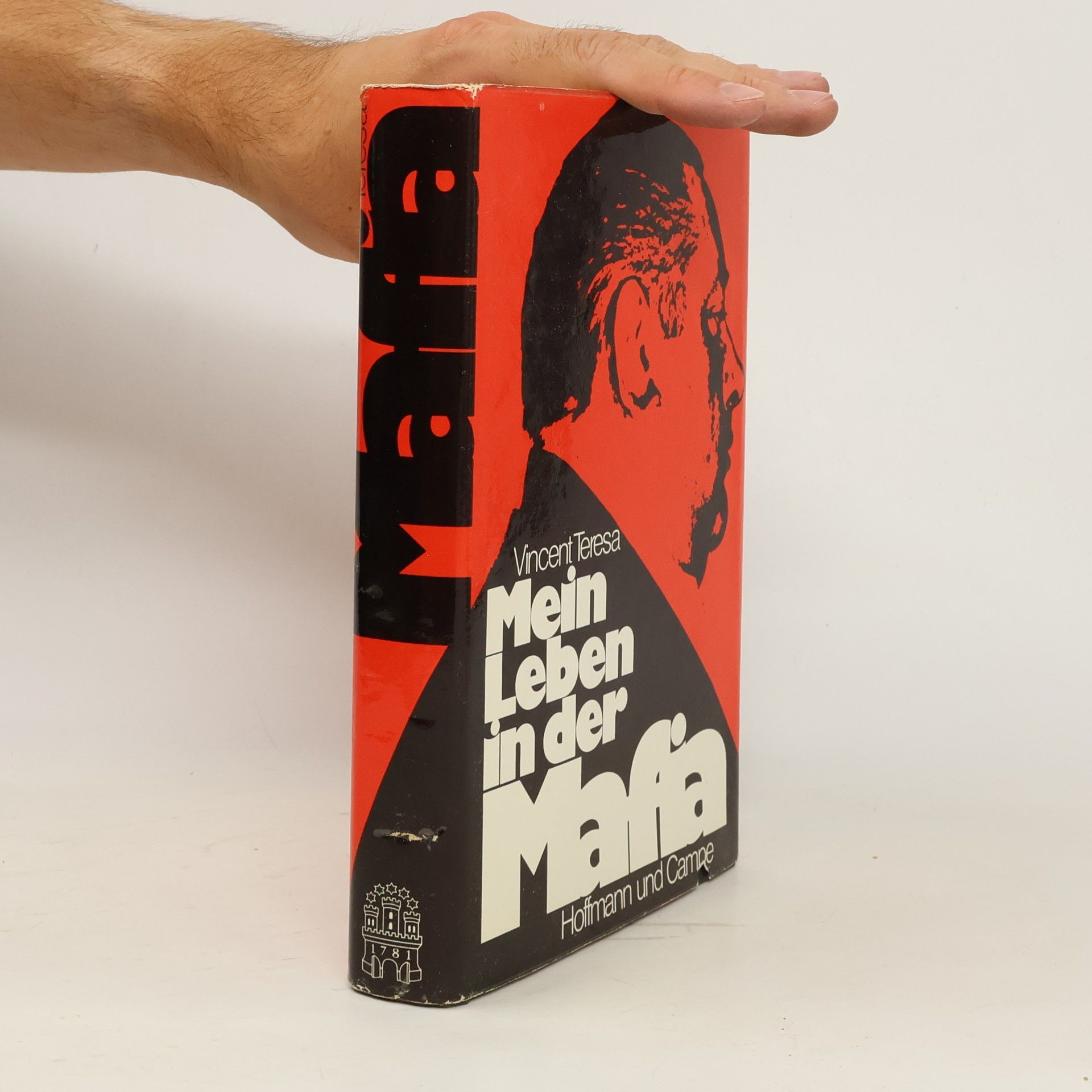 Teresa Vincent Mein Leben in der Mafia
