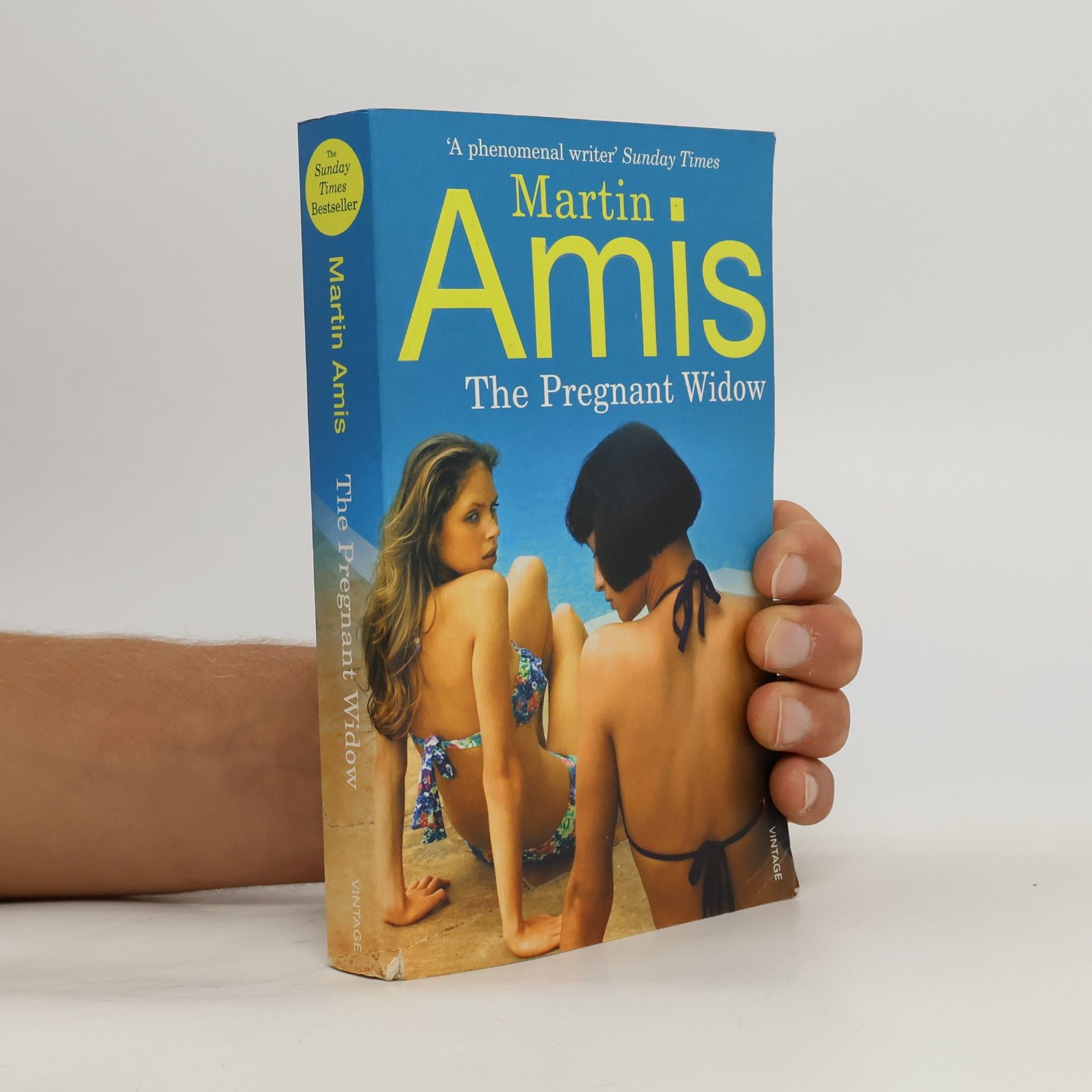Martin Amis The Pregnant Widow