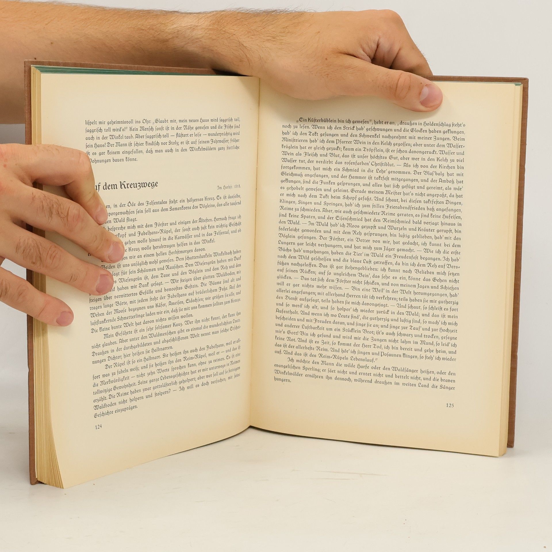 Peter Rosegger Die Schriften des Waldschulmeisters
