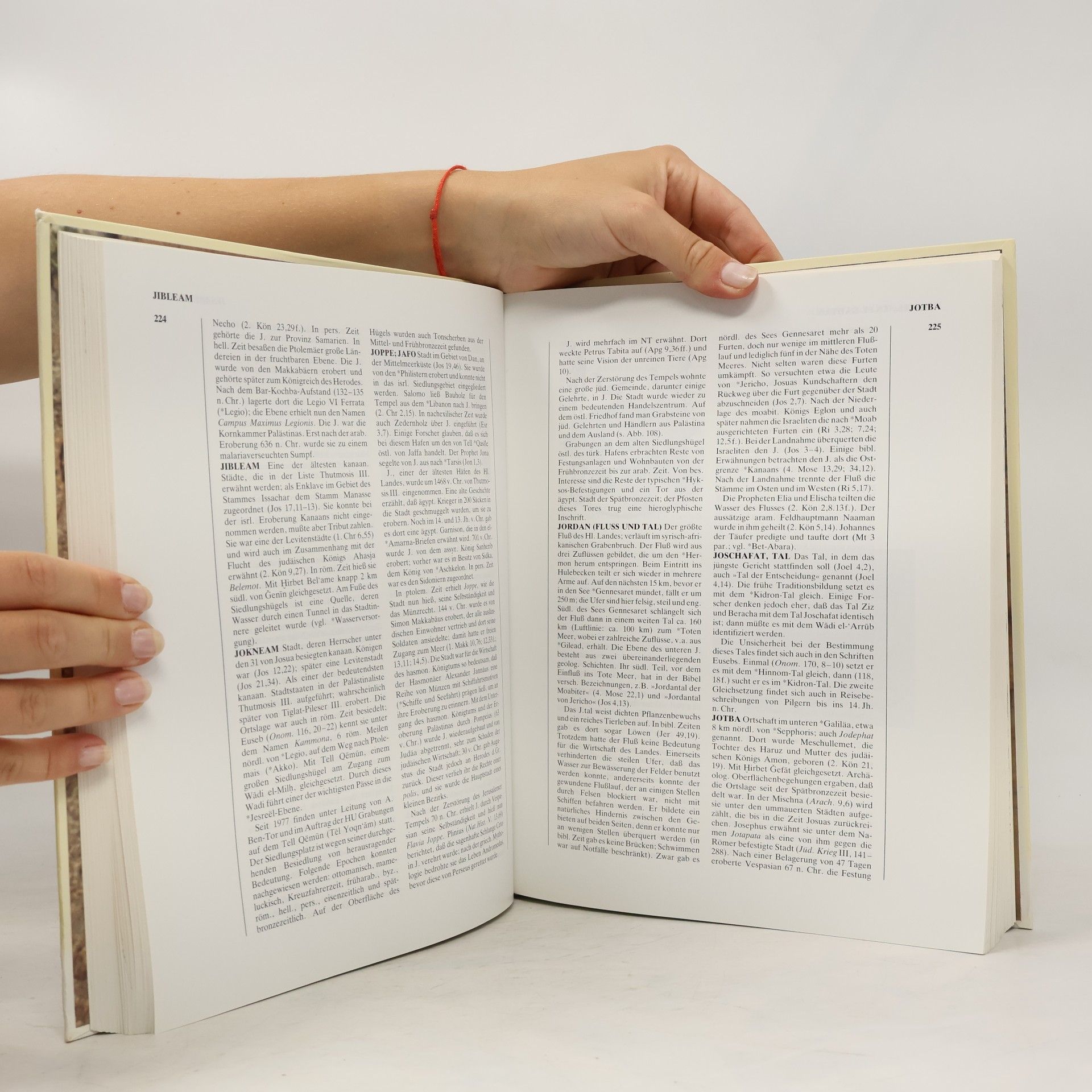 Avraham Negev Archäologisches Bibellexikon