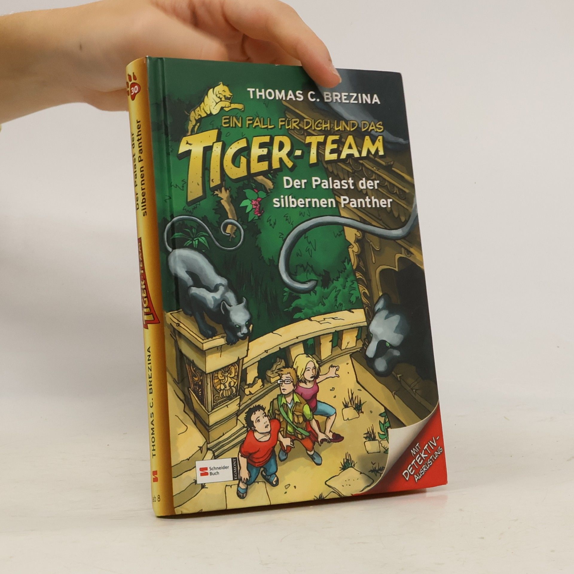 Thomas Brezina Ein Fall für dich und das Tiger-Team - Im Palast der silbernen Panther