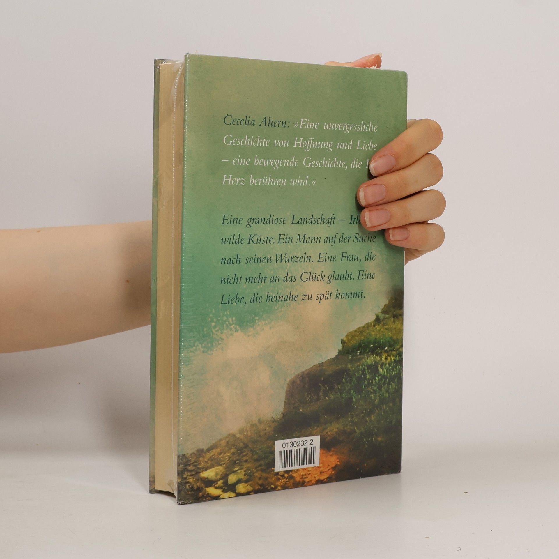 Kathleen MacMahon Liebe im Zeichen des Nordlichts