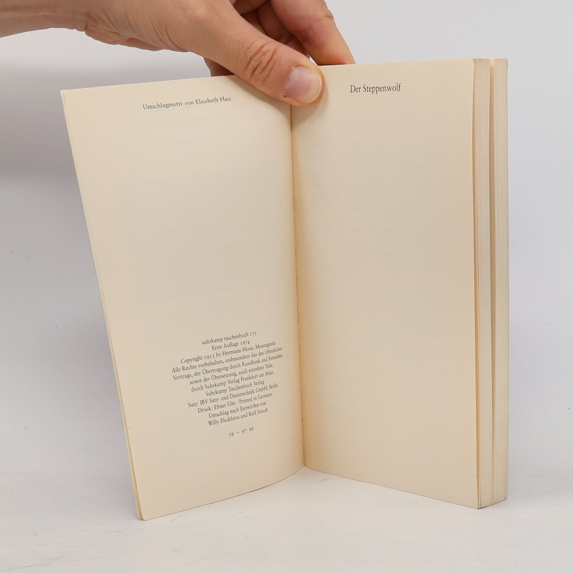 Hermann Hesse Der Steppenwolf