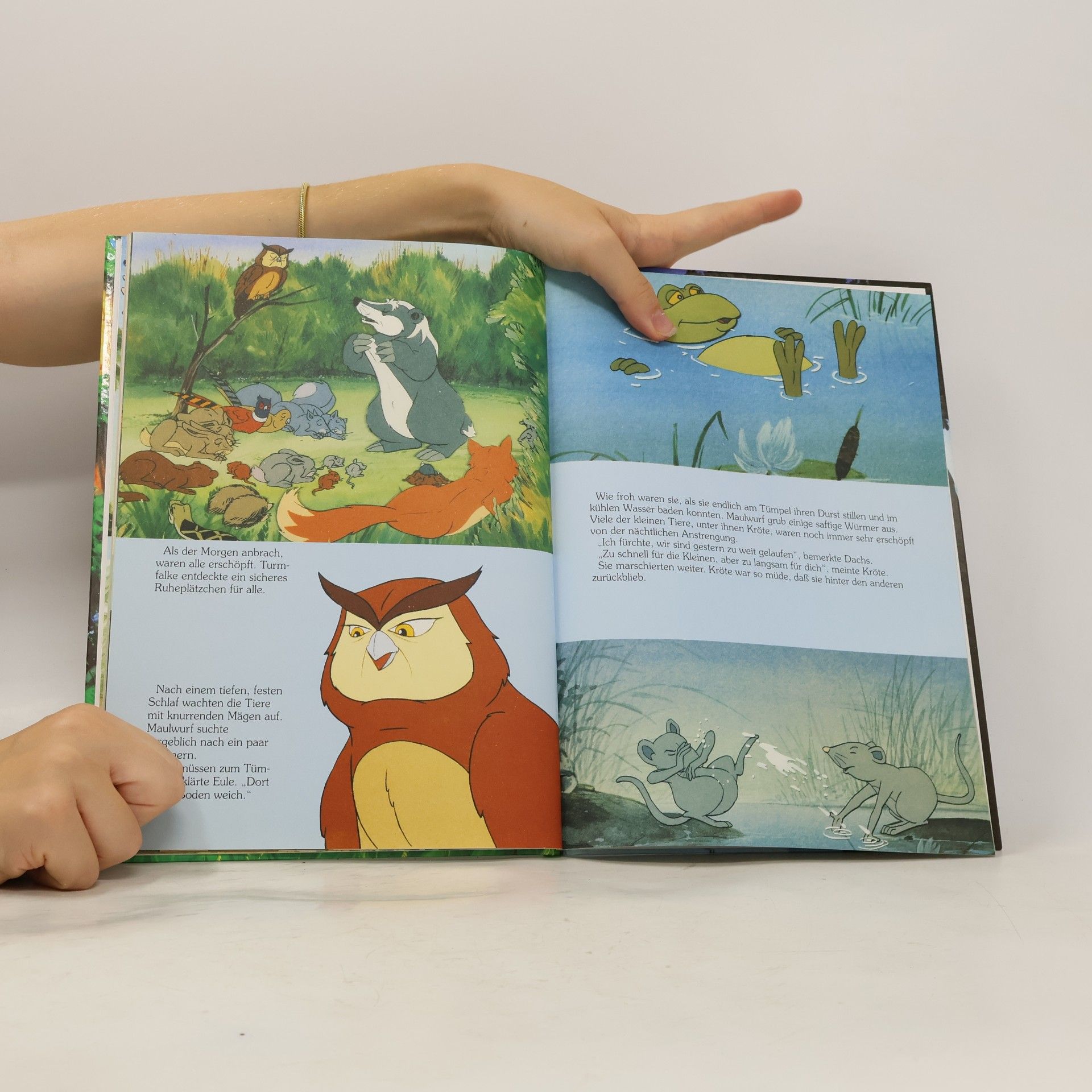 Colin Dann Als die Tiere den Wald verließen. Das Buch zur Fernsehserie