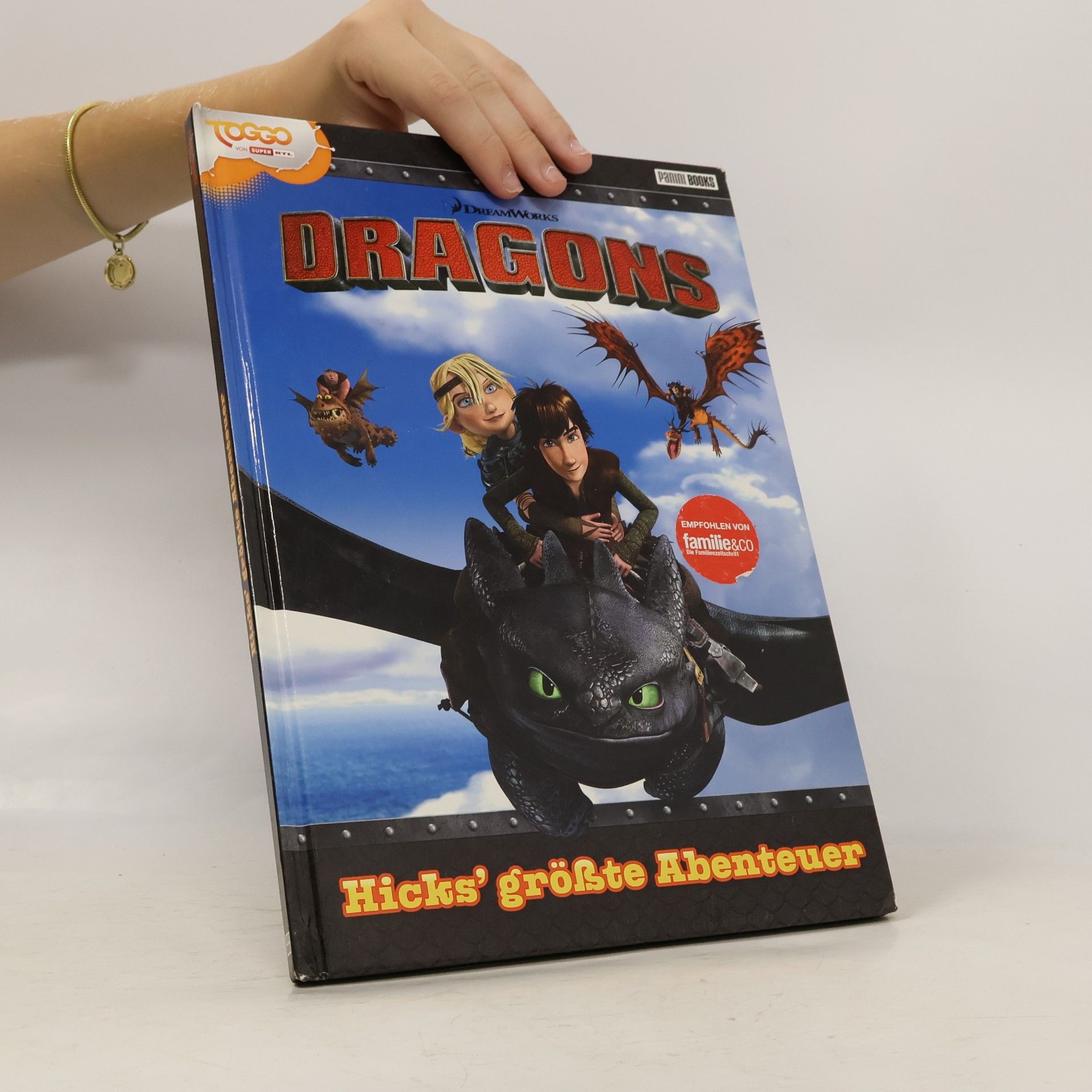 Marisa Reinelt Dragons - Hicks' größte Abenteuer