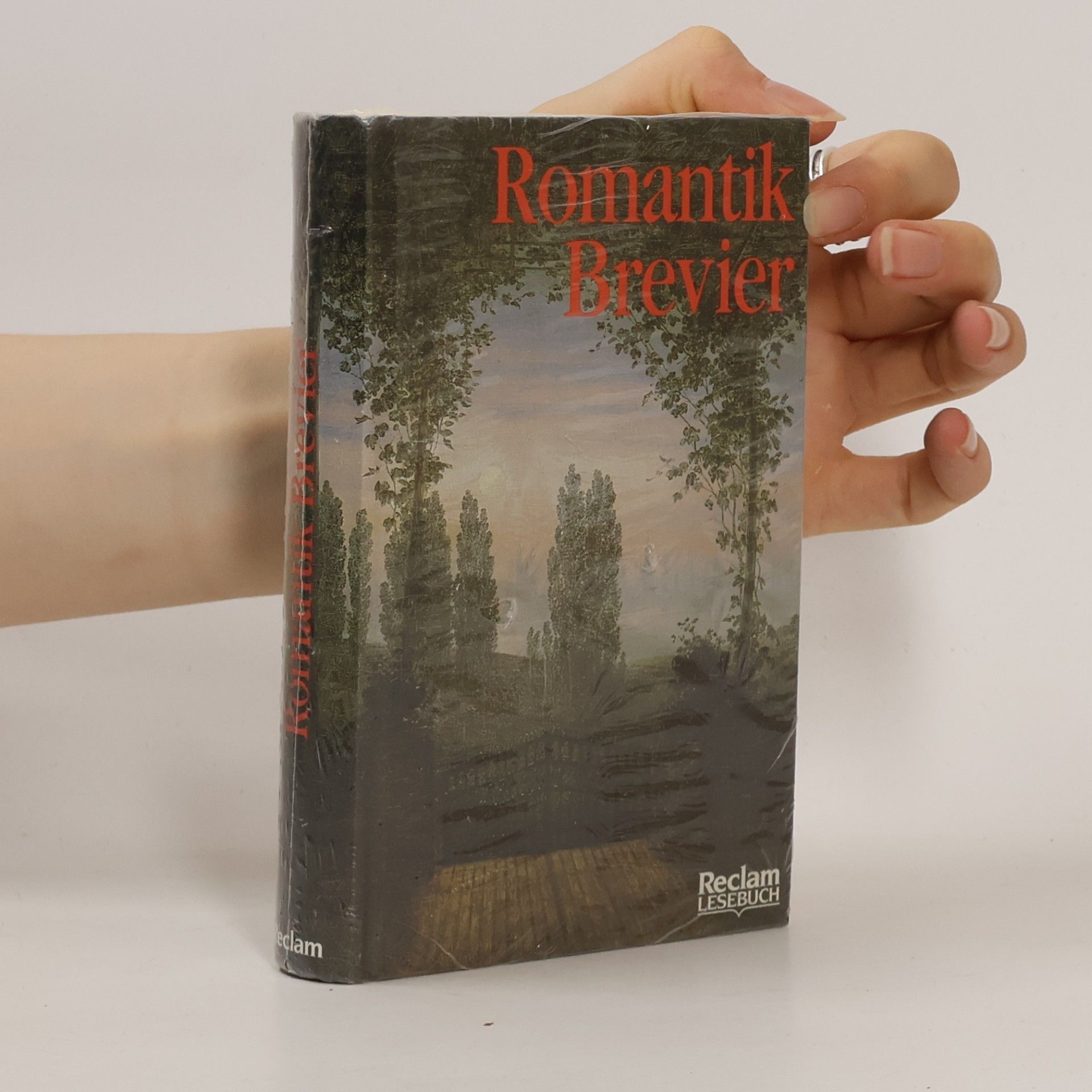 Hartwig Schultz Romantik-Brevier