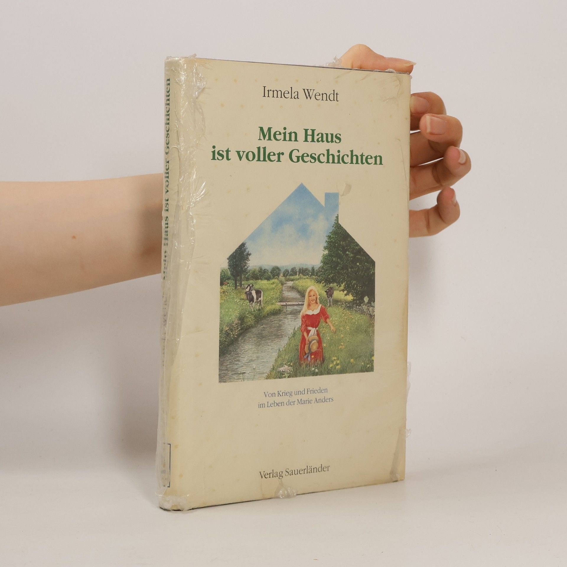 Irmela Wendt Mein Haus ist voller Geschichten