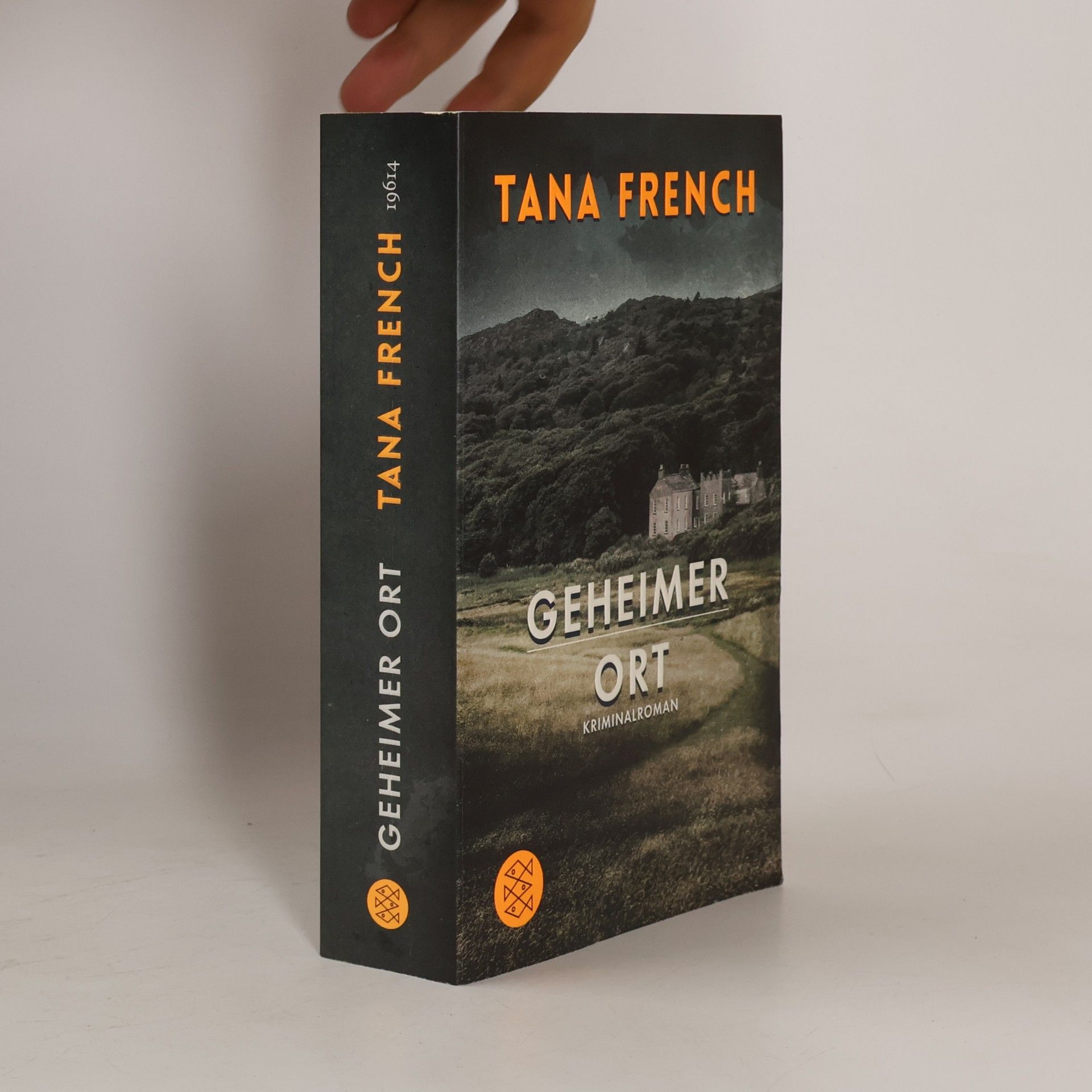 Tana French Geheimer Ort