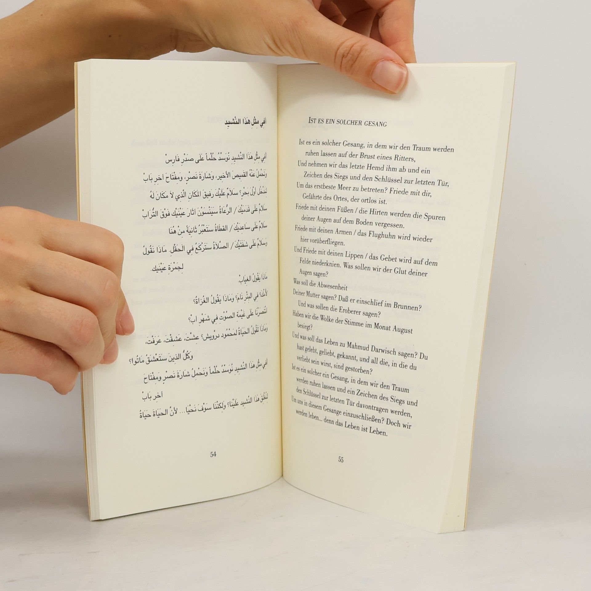 Mahmud Darwisch Weniger Rosen