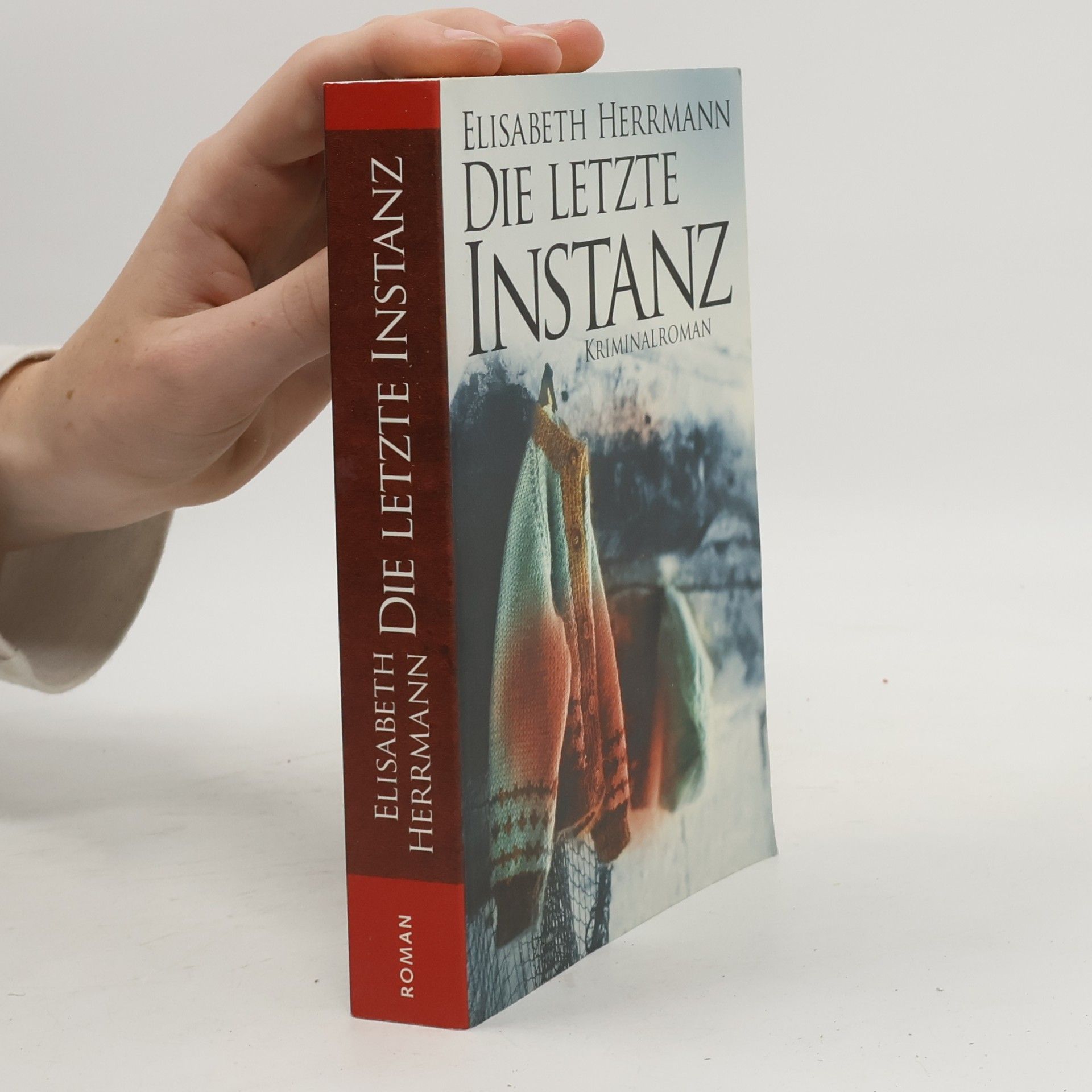 Elisabeth Hermann Die letzte Instanz