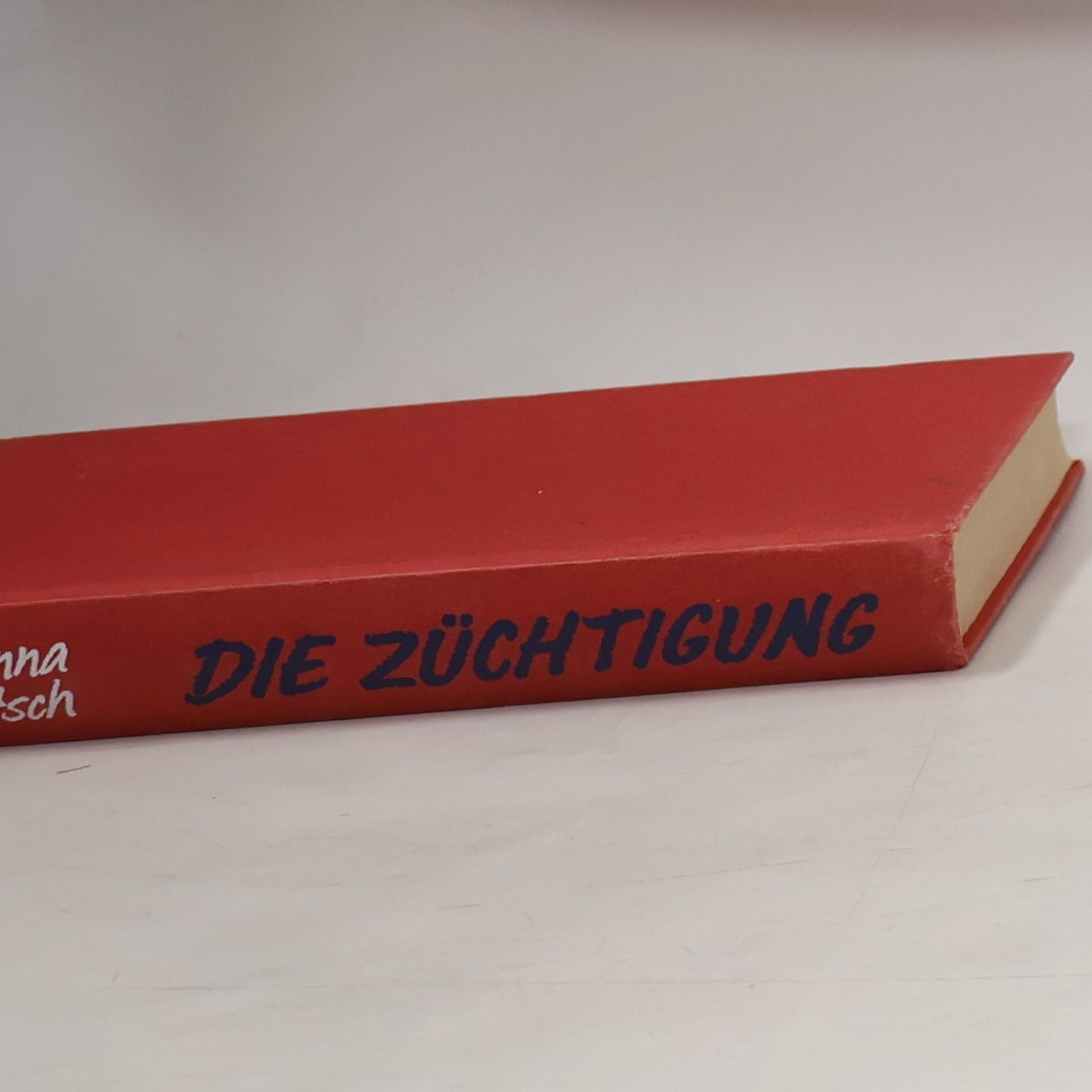Christoph Grissemann Debilenmilch