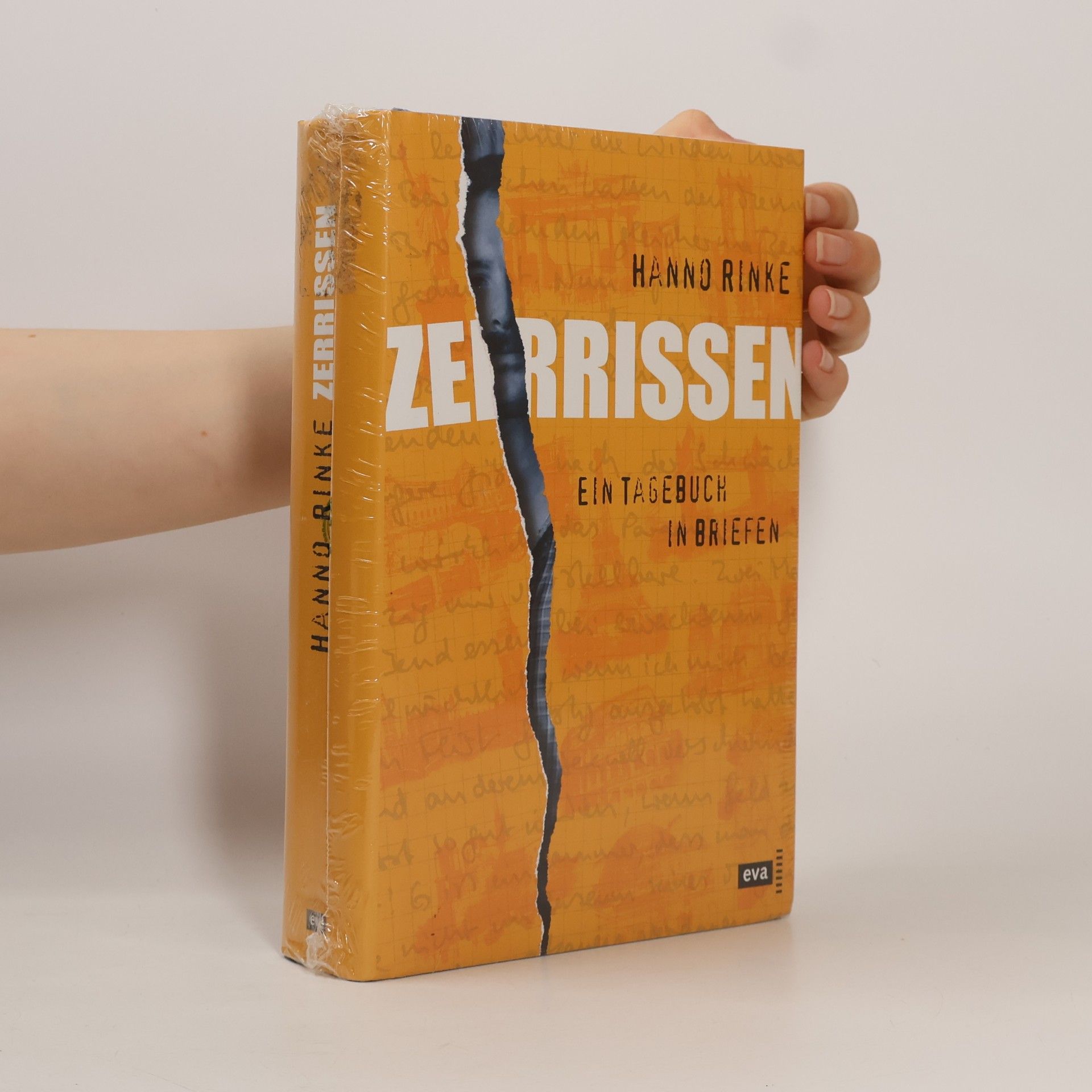 Hanno Rinke Zerrissen. Ein Tagebuch in Briefen