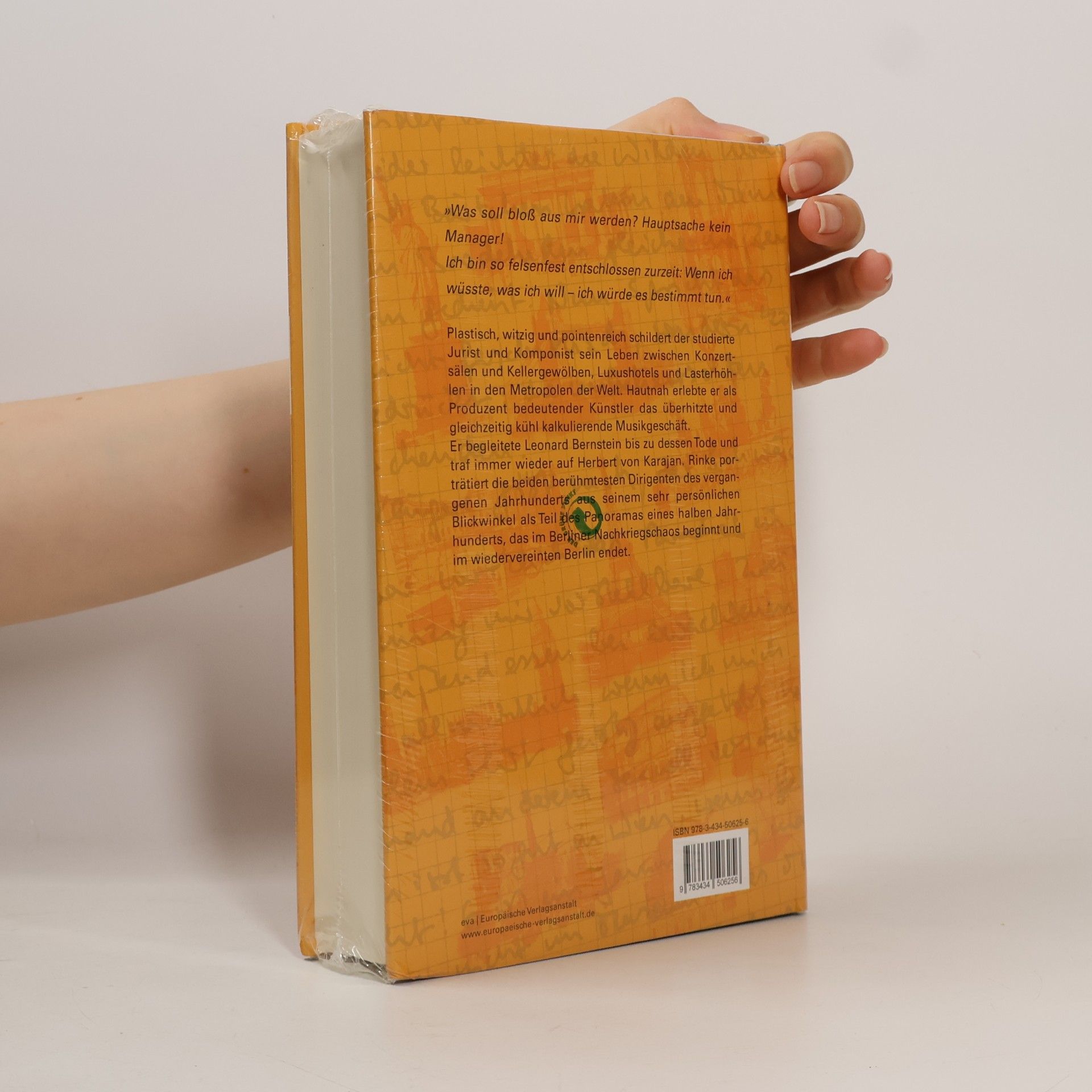 Hanno Rinke Zerrissen. Ein Tagebuch in Briefen