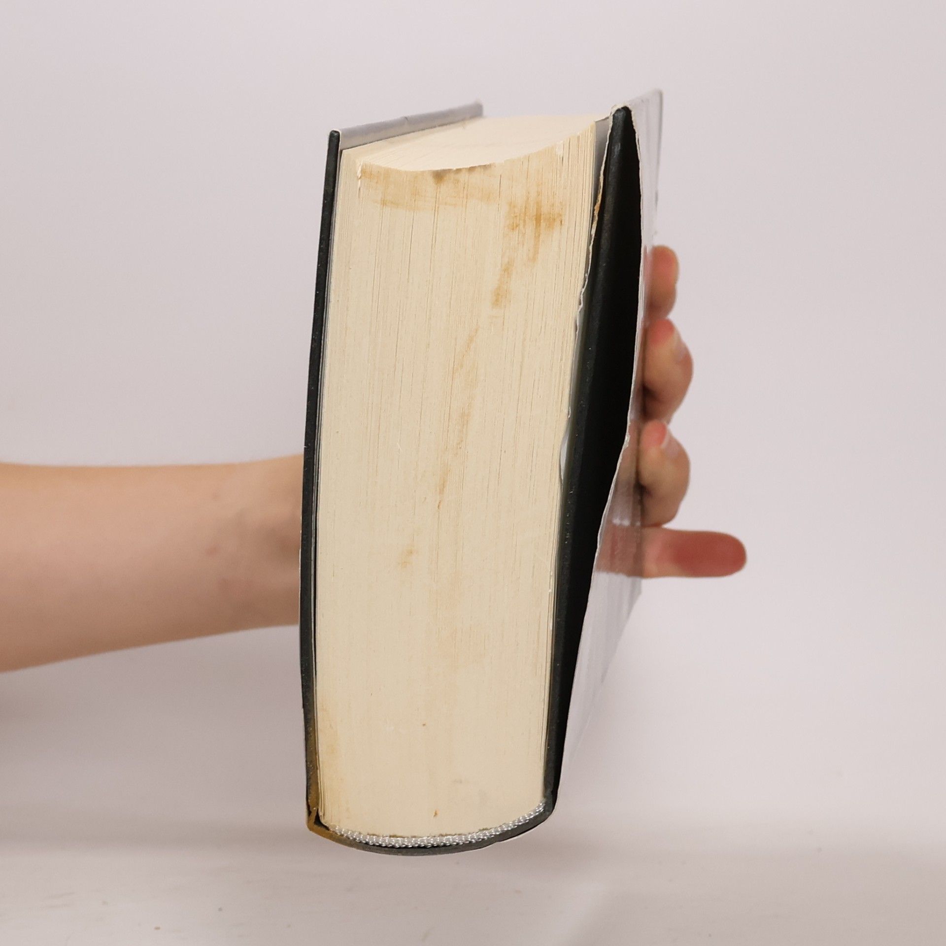 Fritjof Capra Wende Zeit