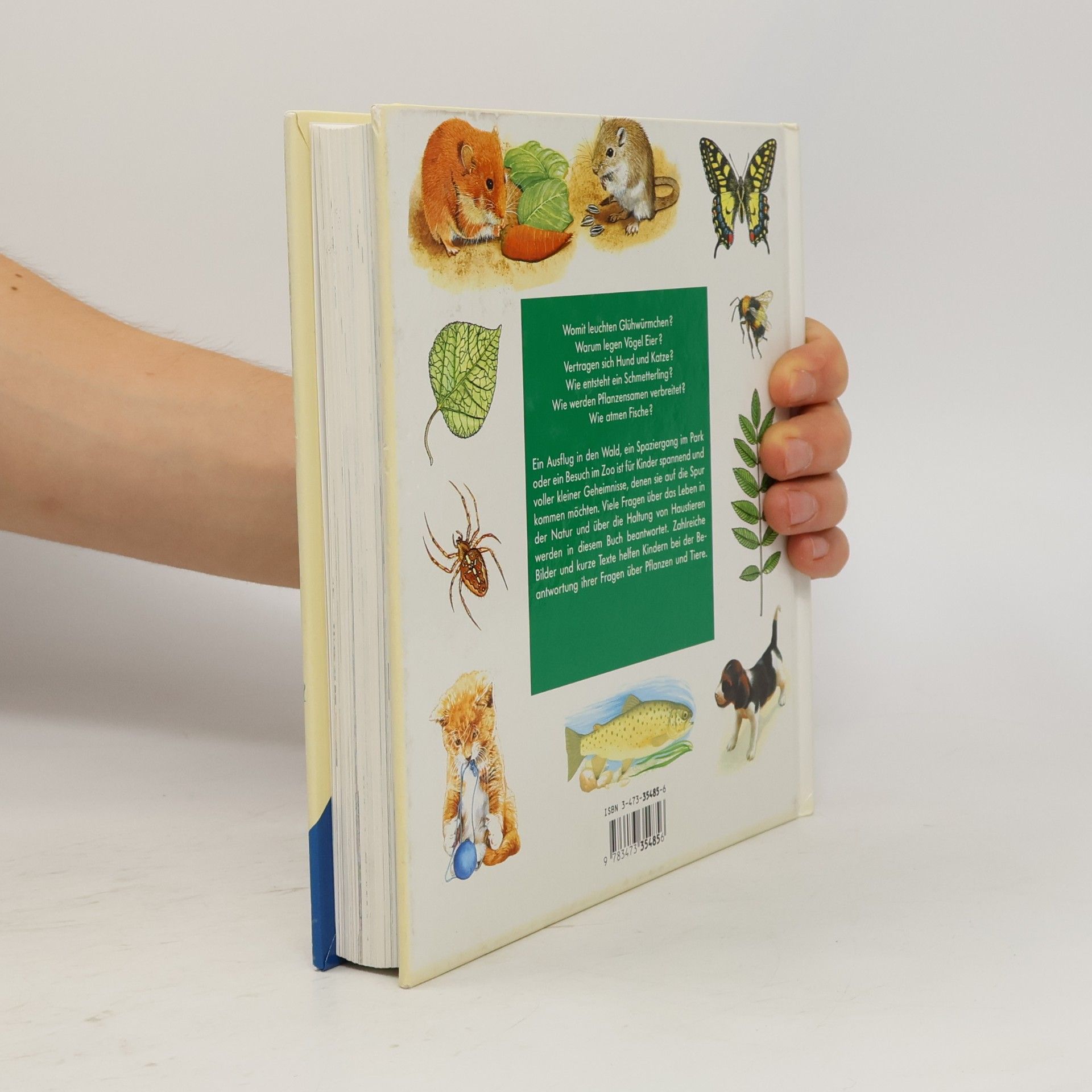 Ravensburger Buchverlag Alles was ich wissen will