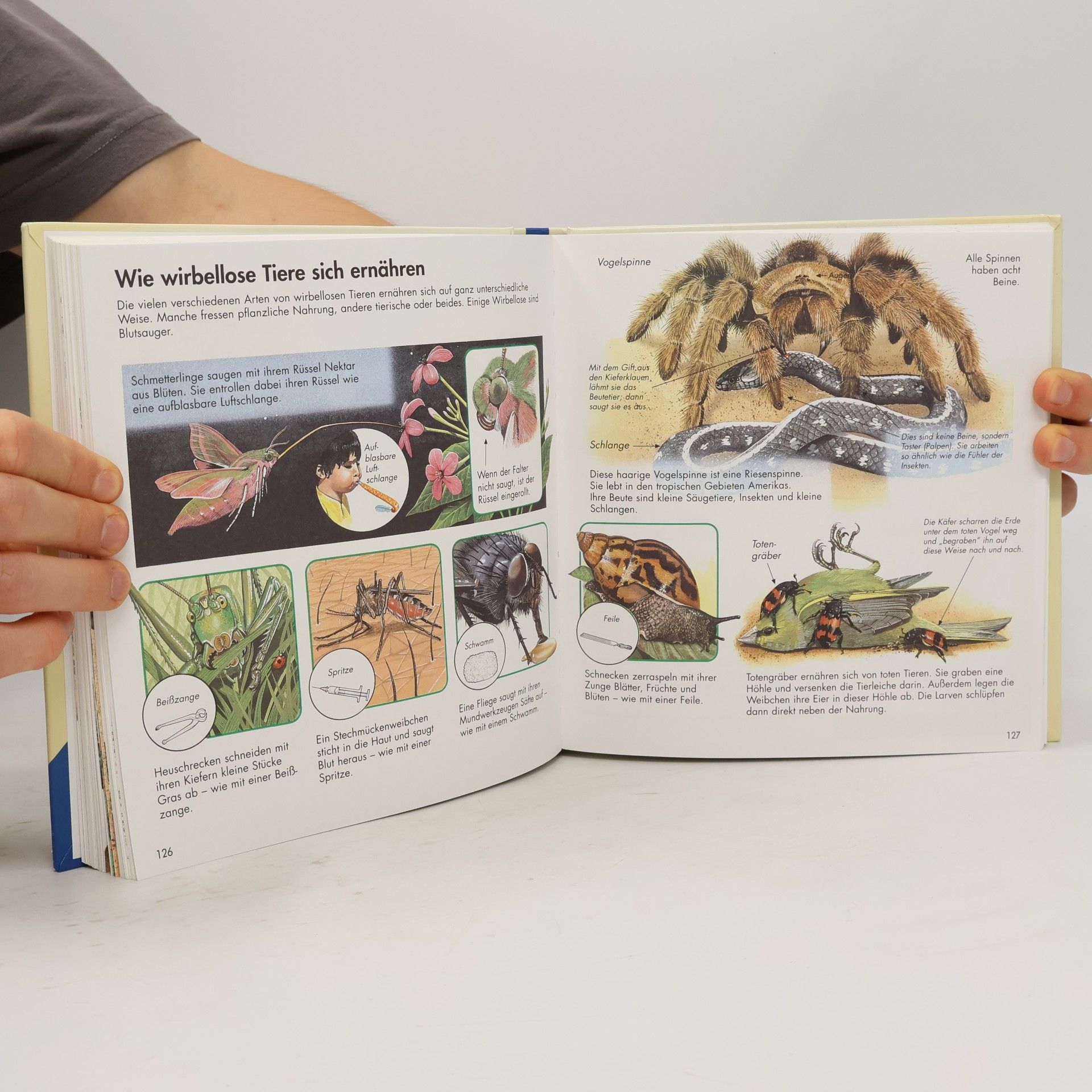 Ravensburger Buchverlag Alles was ich wissen will