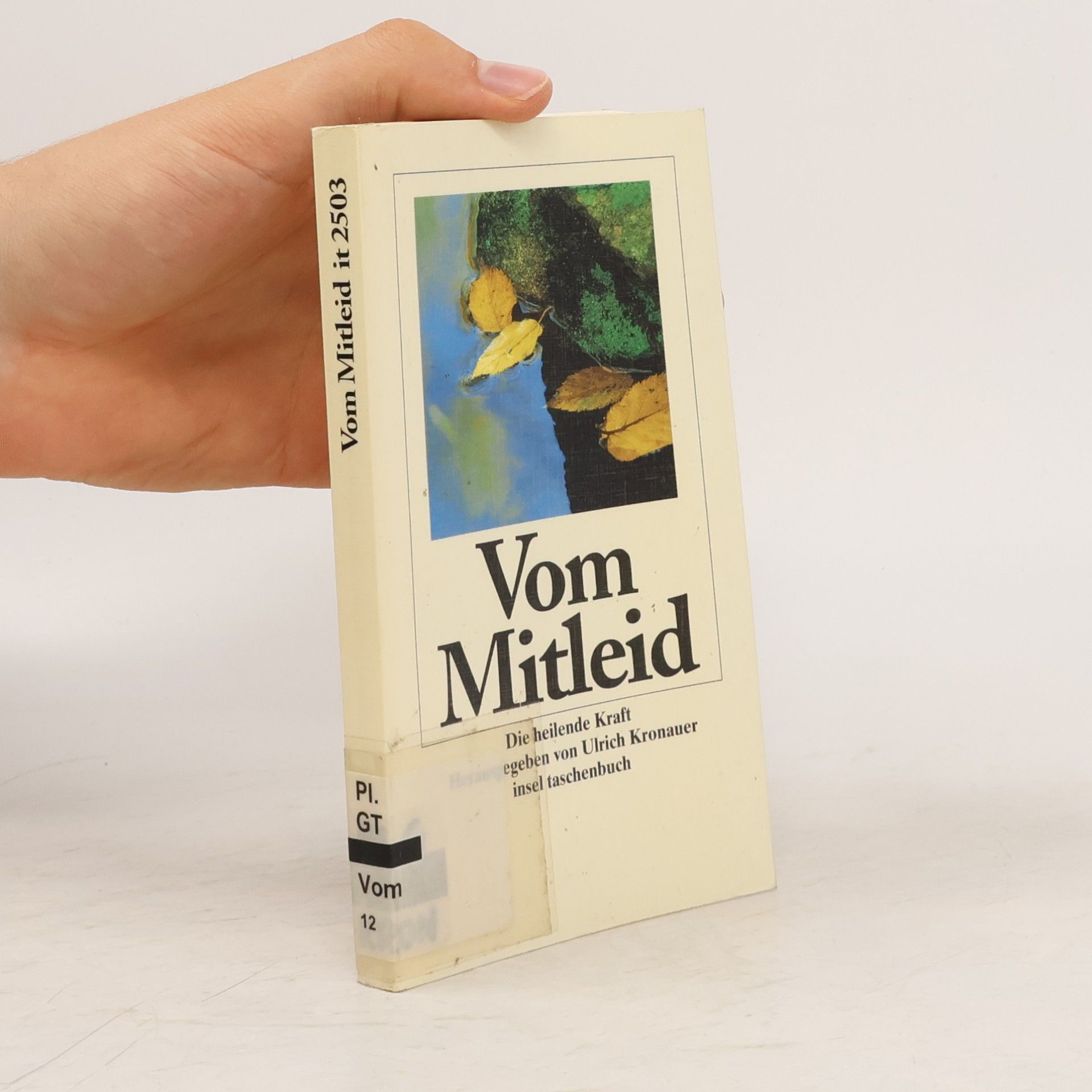 Ulrich Kronauer Vom Mitleid