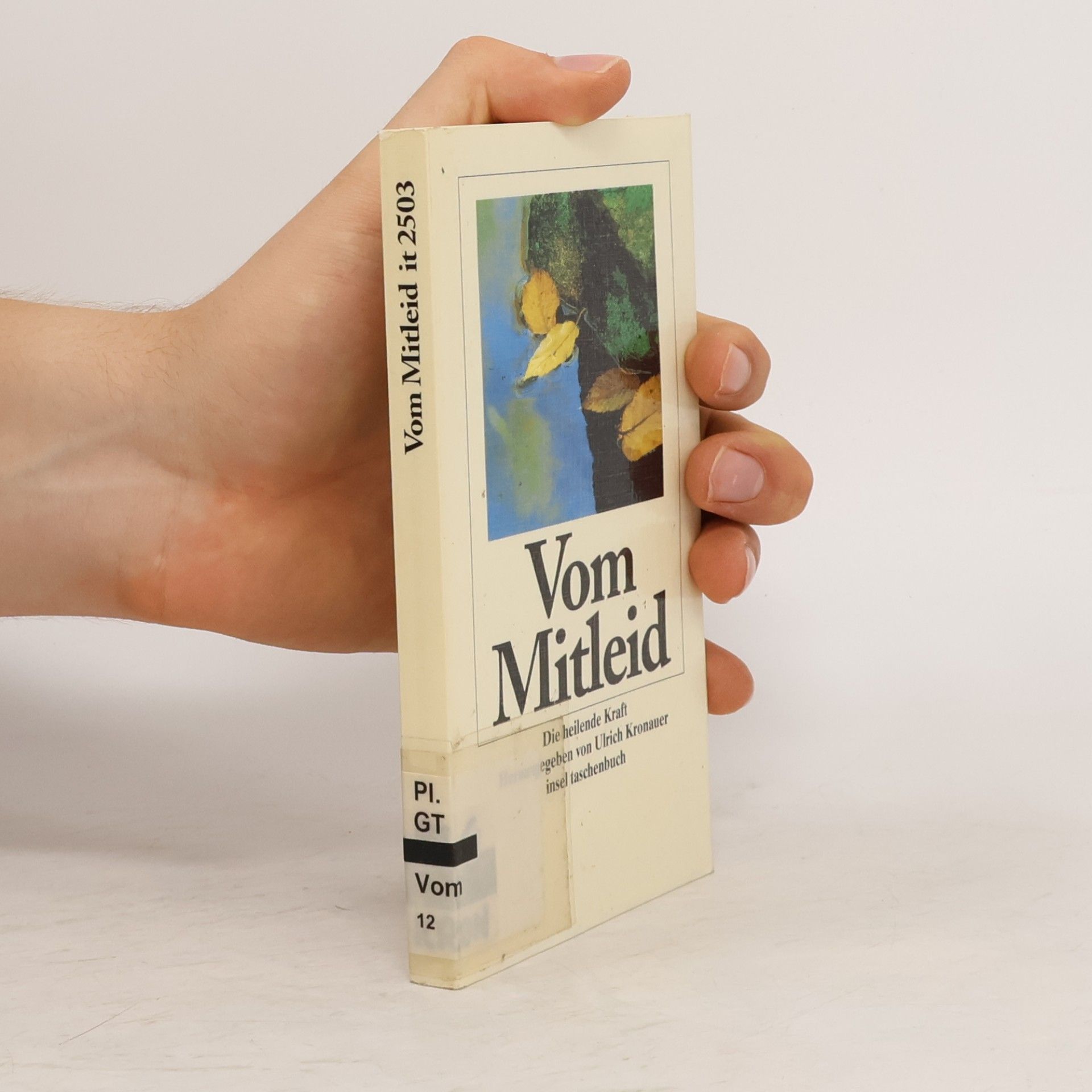 Ulrich Kronauer Vom Mitleid