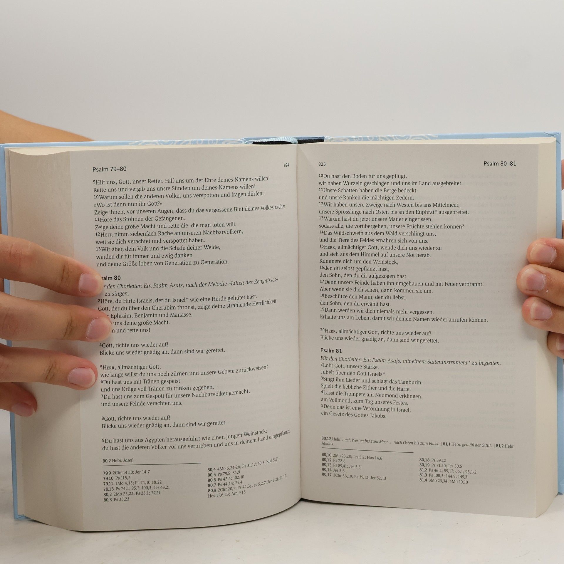 R. SCM Brockhaus Neues Leben. Die Bibel - Sonderausgabe