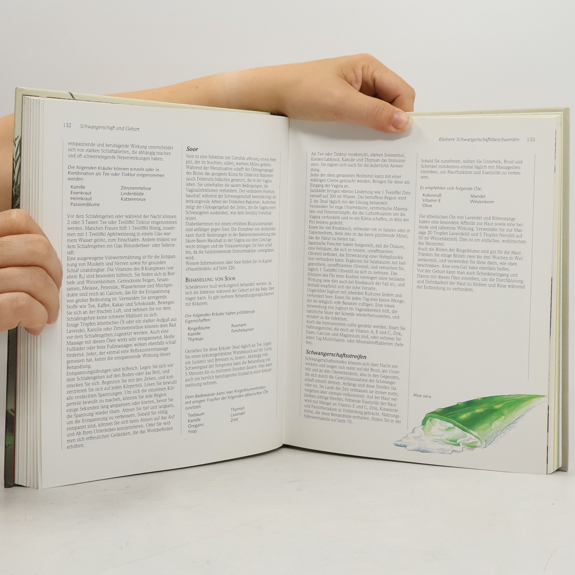 Anne McIntyre Frauen-Handbuch Heilkräuter