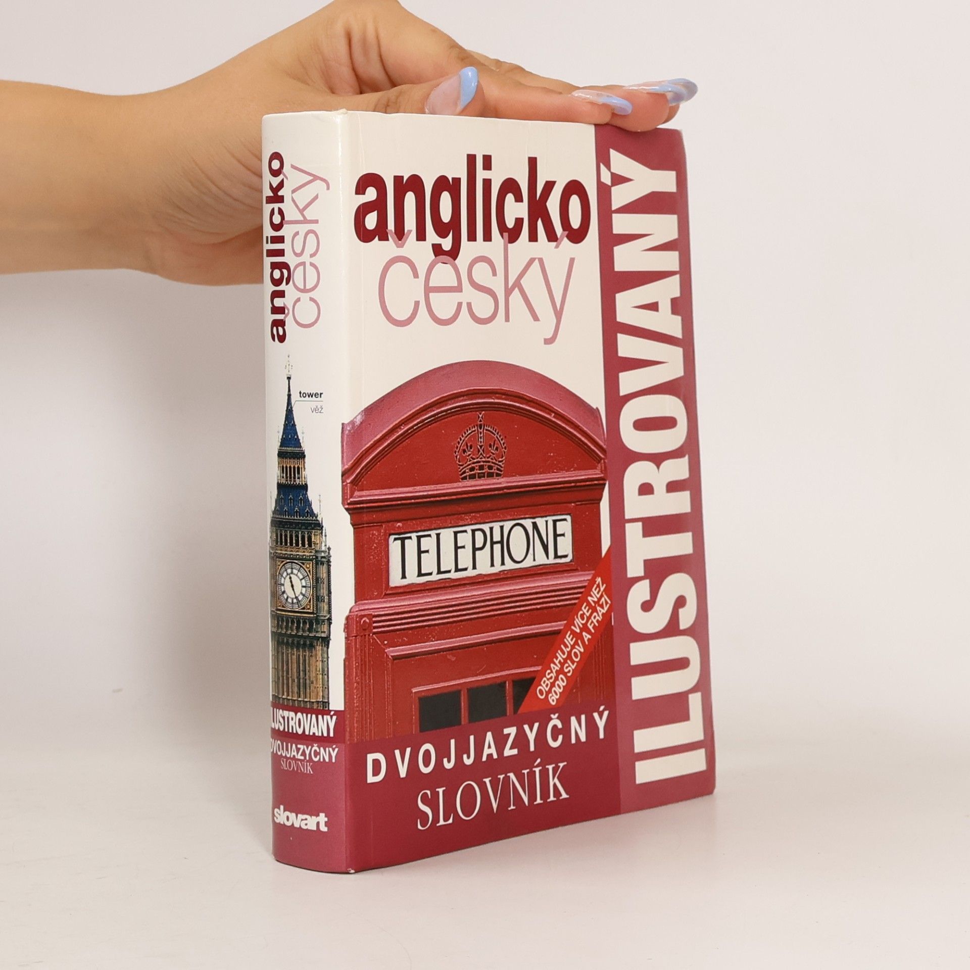 Auteurscollectief Dvojjazyčný anglicko český ilustrovaný slovník