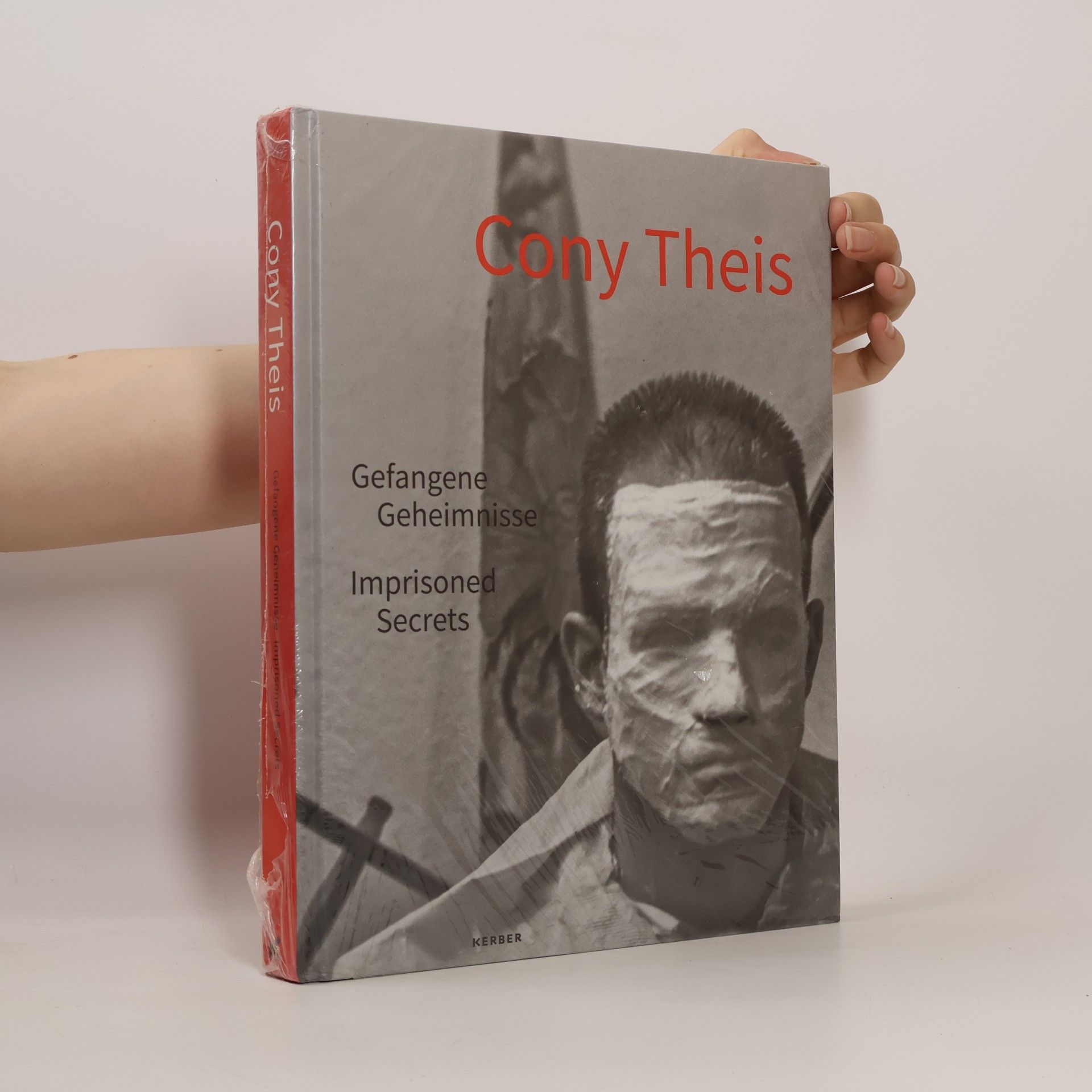 Cony Theis. Gefangene Geheimnisse