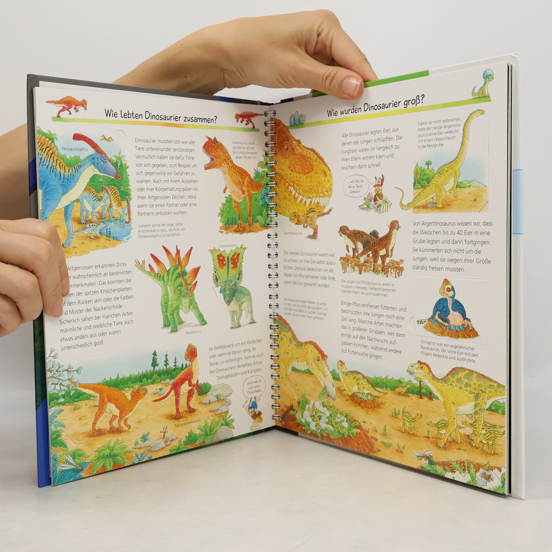 Susanne Gernhäuser Wieso? Weshalb? Warum? Leuchte und entdecke: Dinosaurier (Taschenlampen-Buch mit Folien und Klappen)