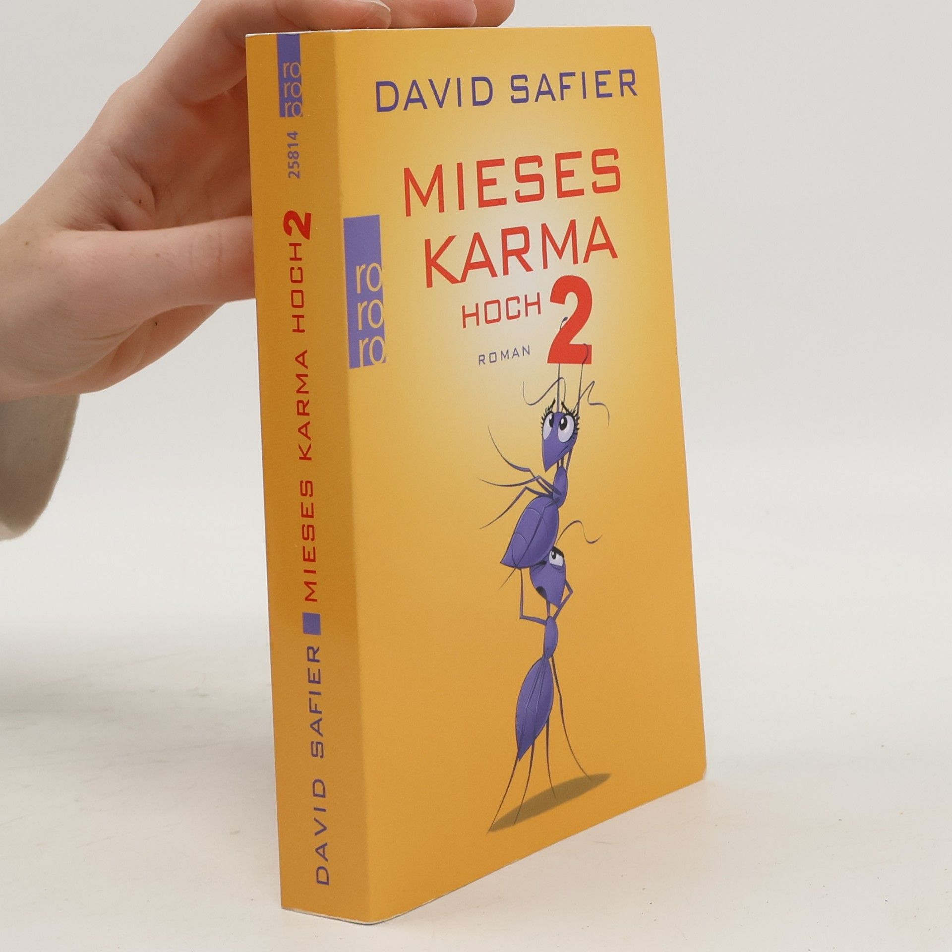 David Safier Mieses Karma hoch 2
