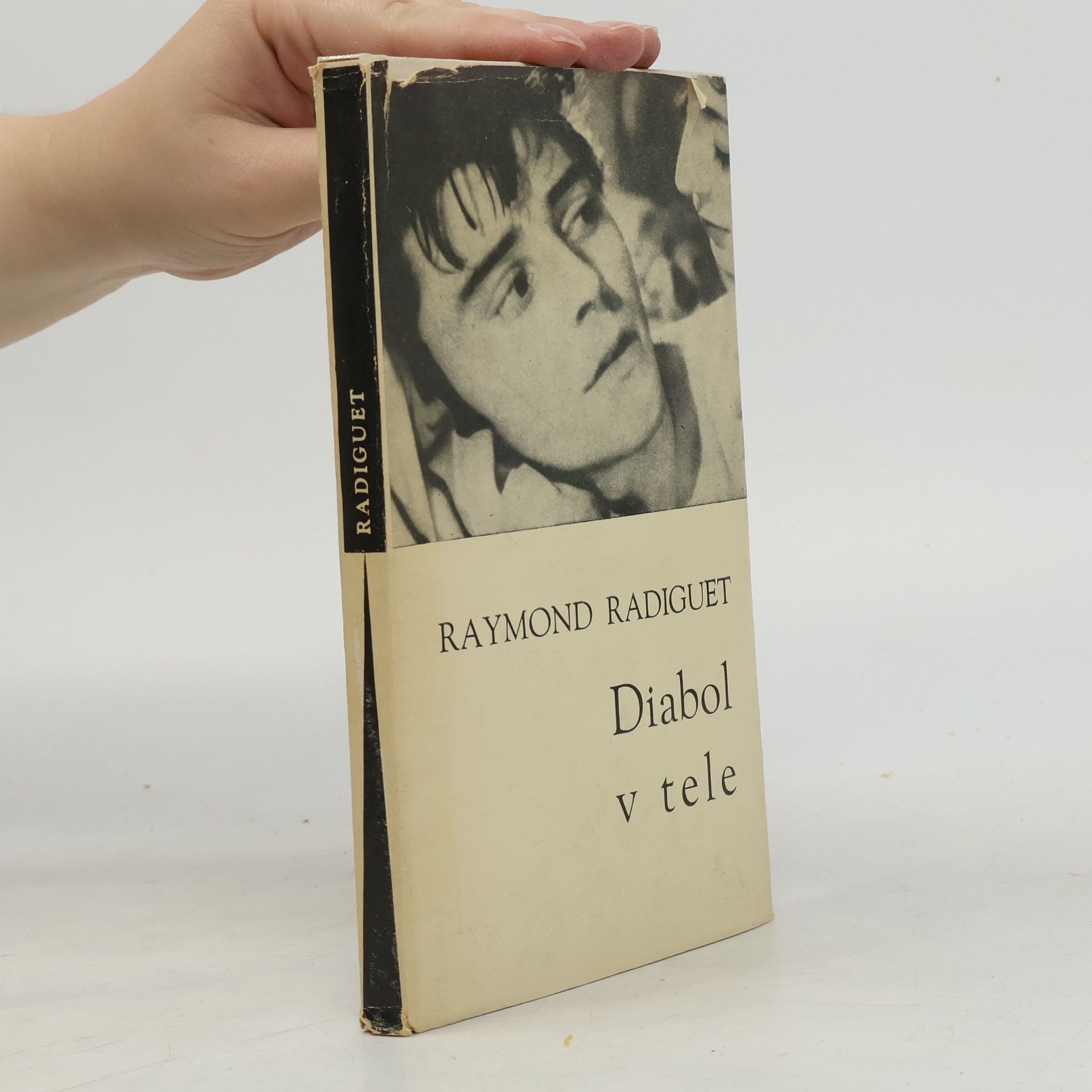 Raymond Radiguet Diabol v tele
