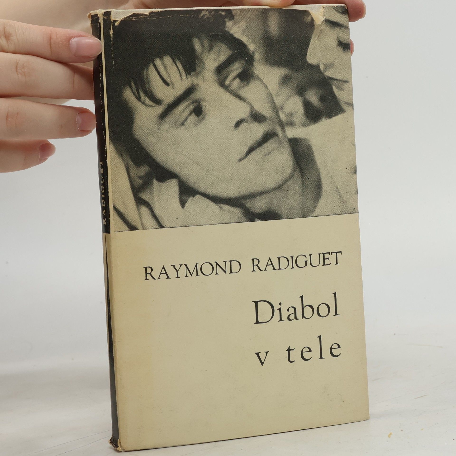 Raymond Radiguet Diabol v tele