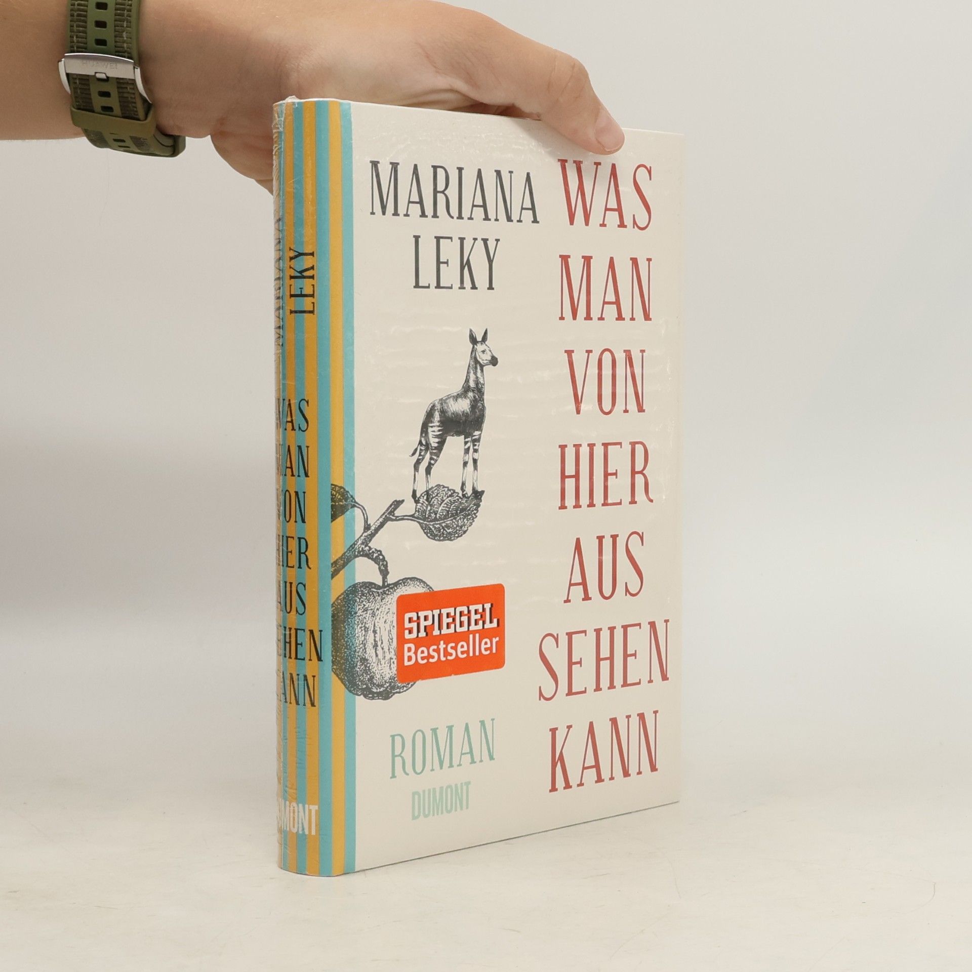 Mariana Leky Was man von hier aus sehen kann