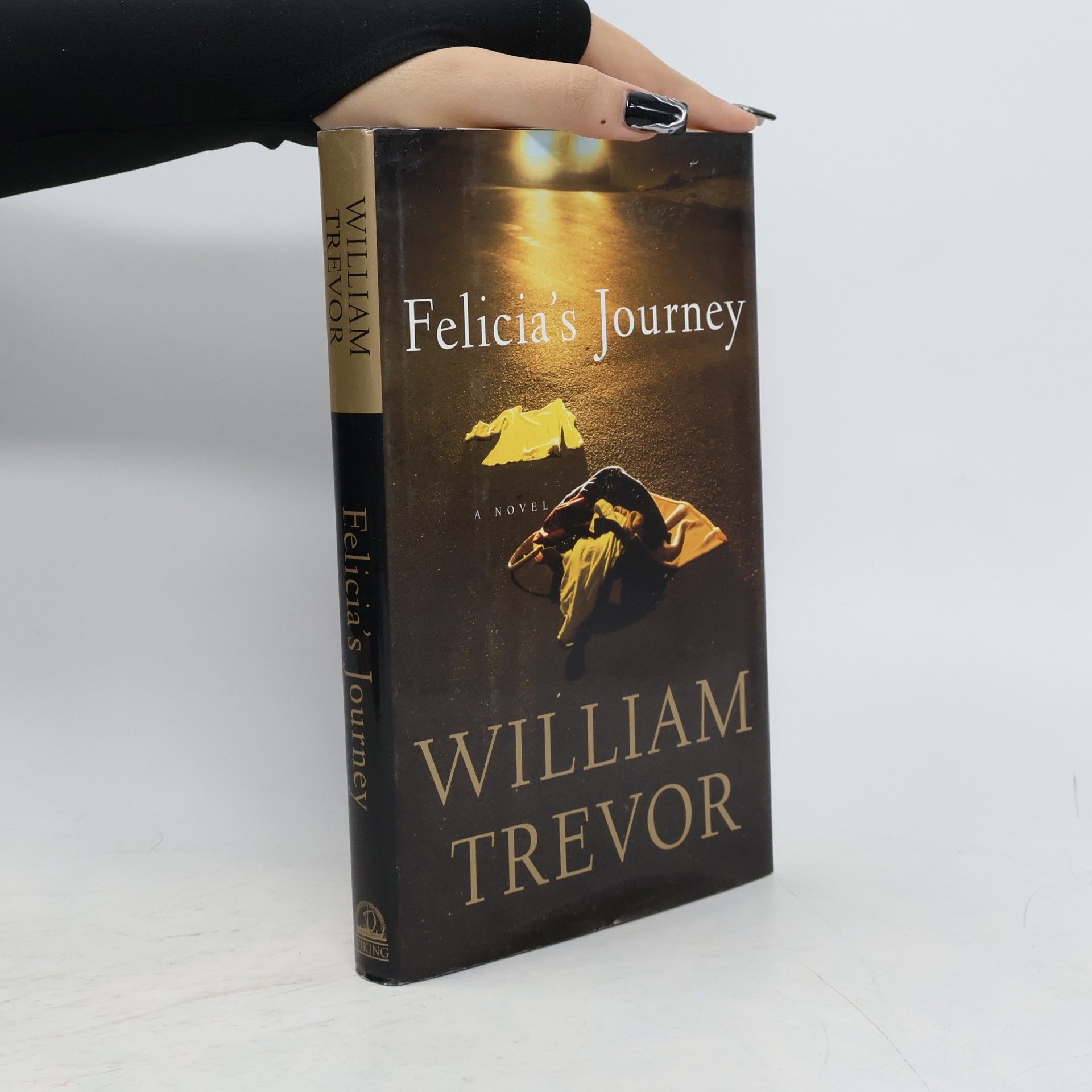 William Trevor Felicia's journey