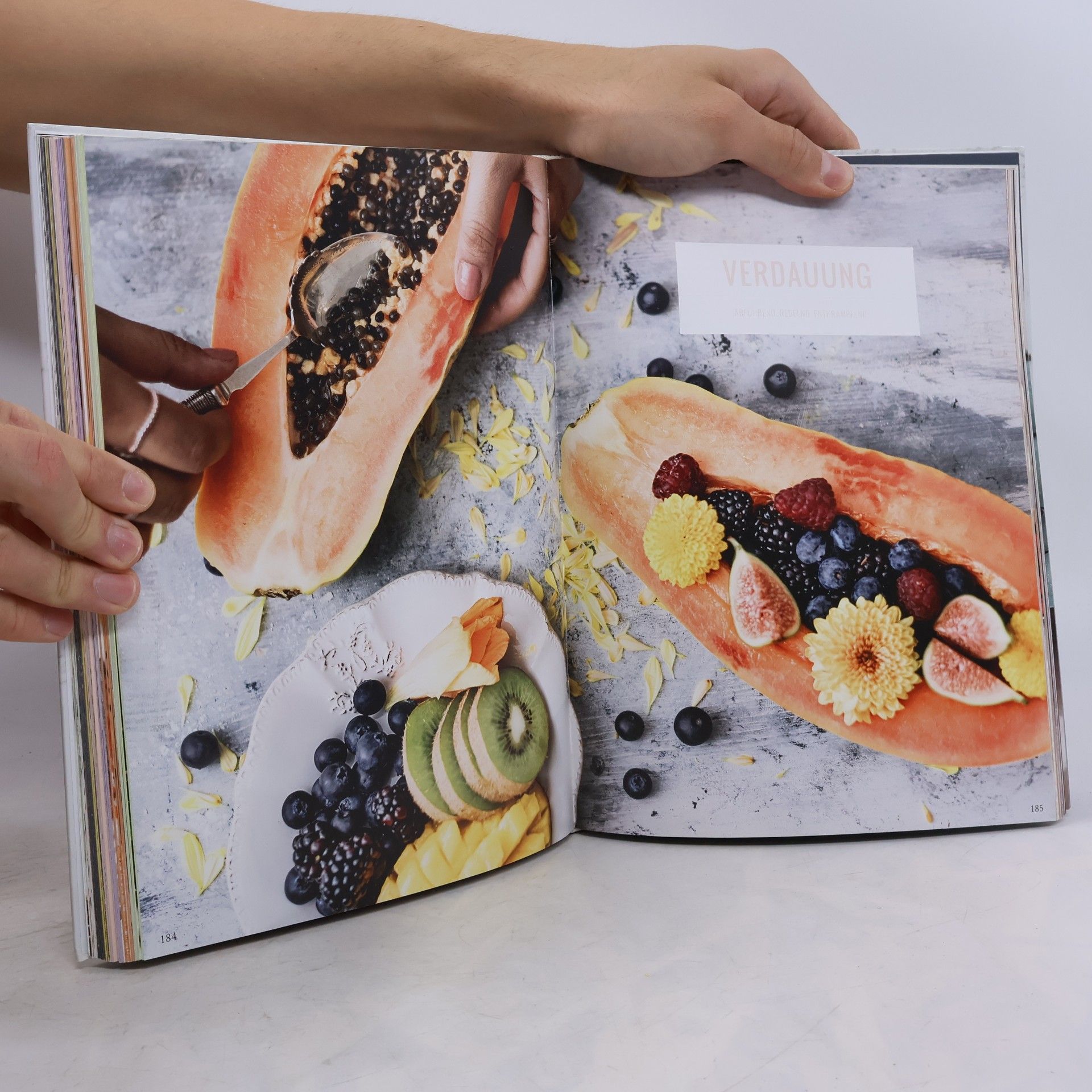 Alexandra Stech Epi-Food