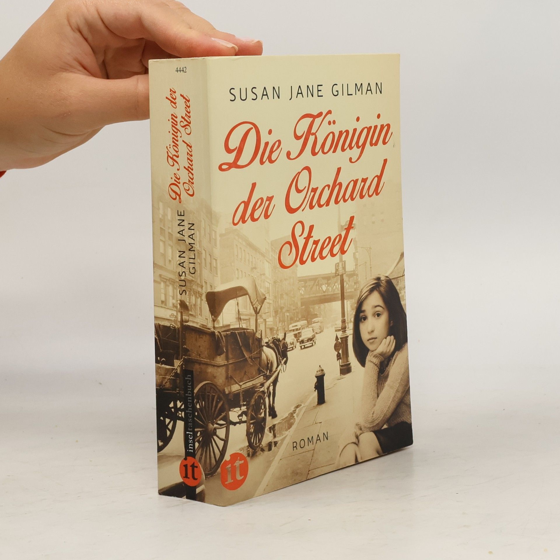 Susan Jane Gilman Die Königin der Orchard Street