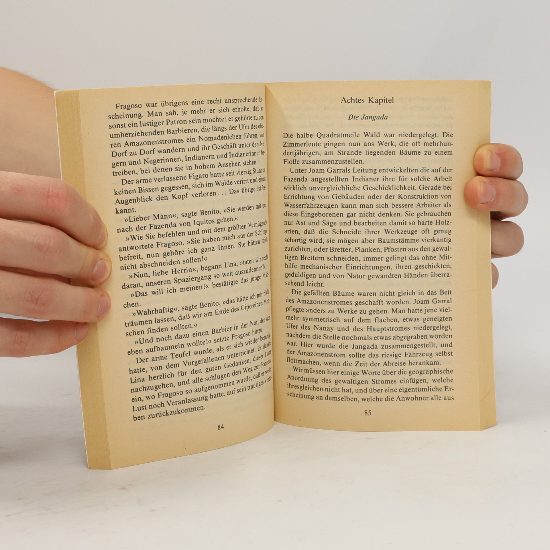 Jules Verne Die Jangada