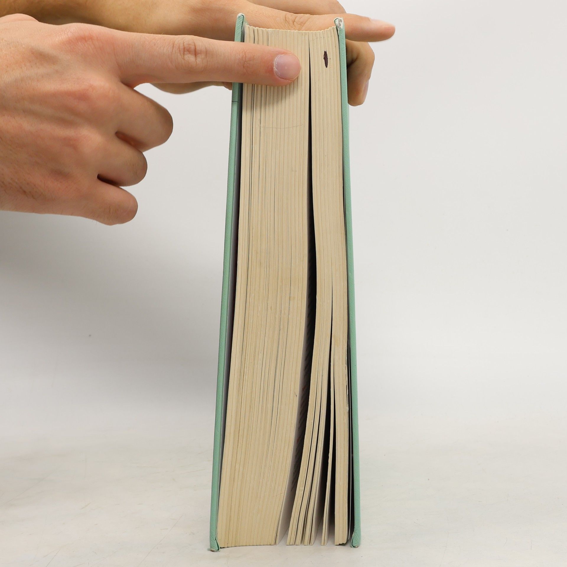 Isolde Richter Lehrbuch für Heilpraktiker